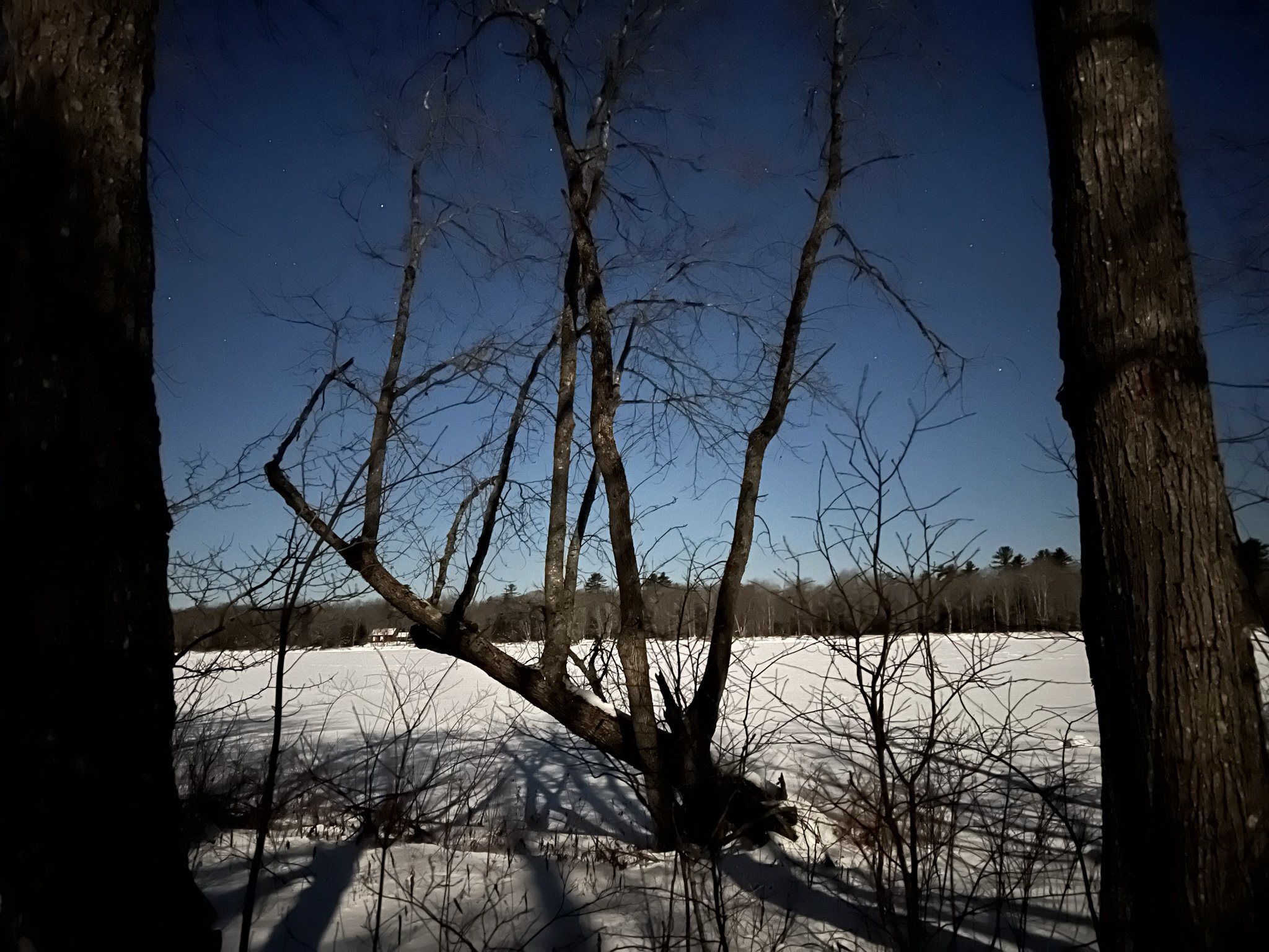 pecihpun: winter is coming/ winter has arrived