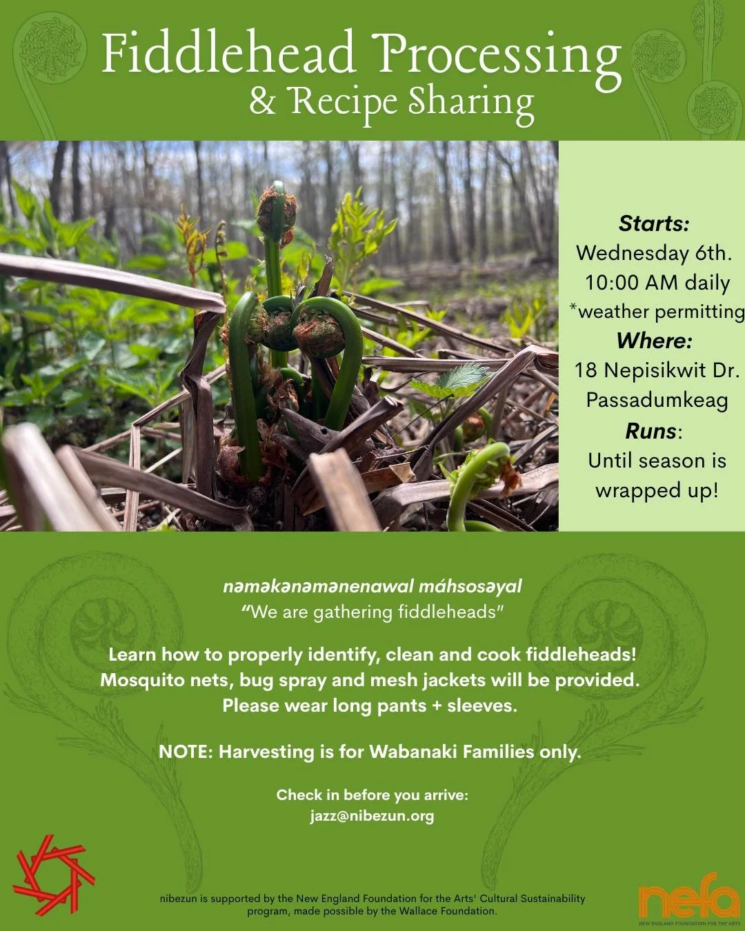 mə̀kəneminol m&aacute;hsosəyal
"We gather fiddleheads"

Fiddlehead season is here and we're welcoming it in on the land. 

Starts: Wednesday, May 6th at 10:00 AM, weather permitting
Where: 18 Nepisikwit Drive, Passadumkeag
Runs: Until the s