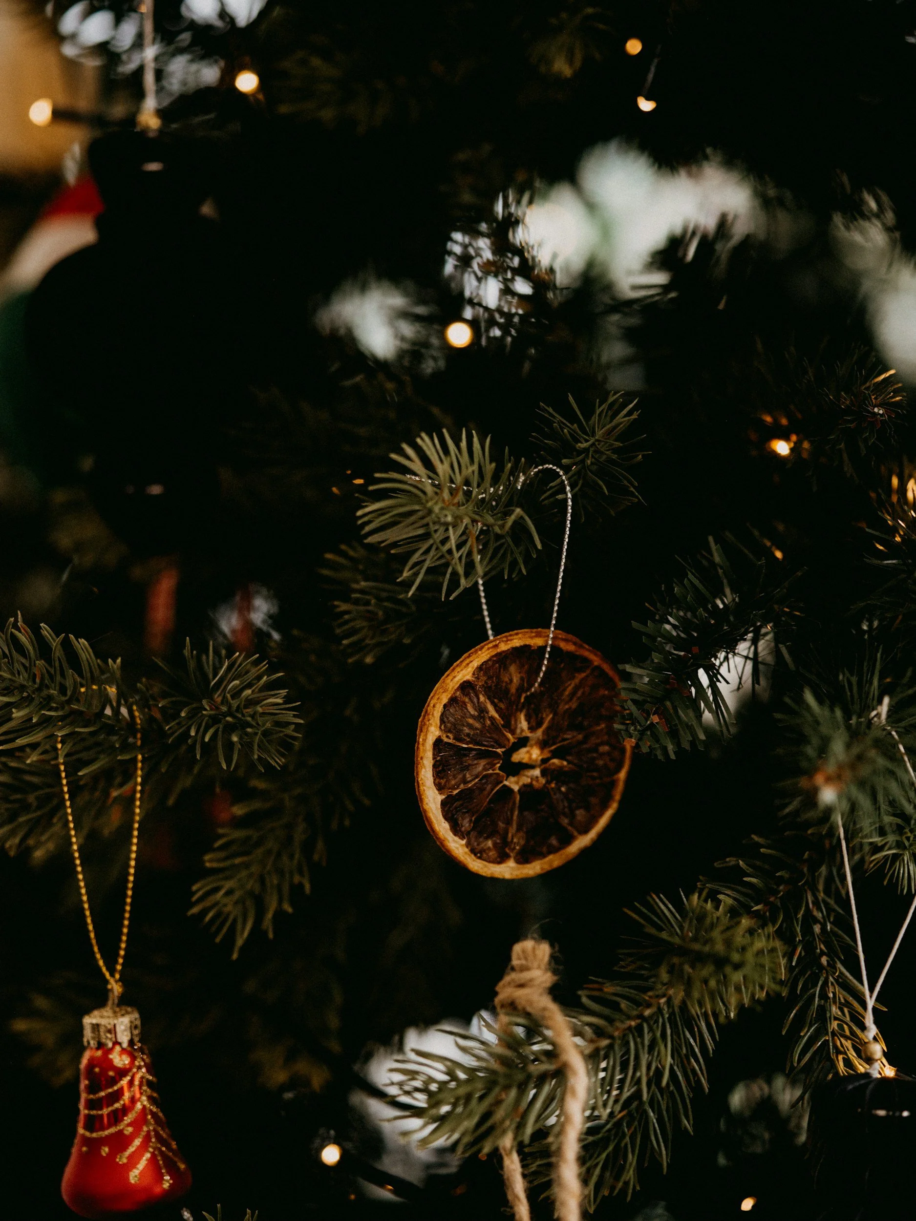 Close-up of a Christmas tree with dark green needles, decorated with dried orange slices, a red bell ornament, and small warm white lights.
