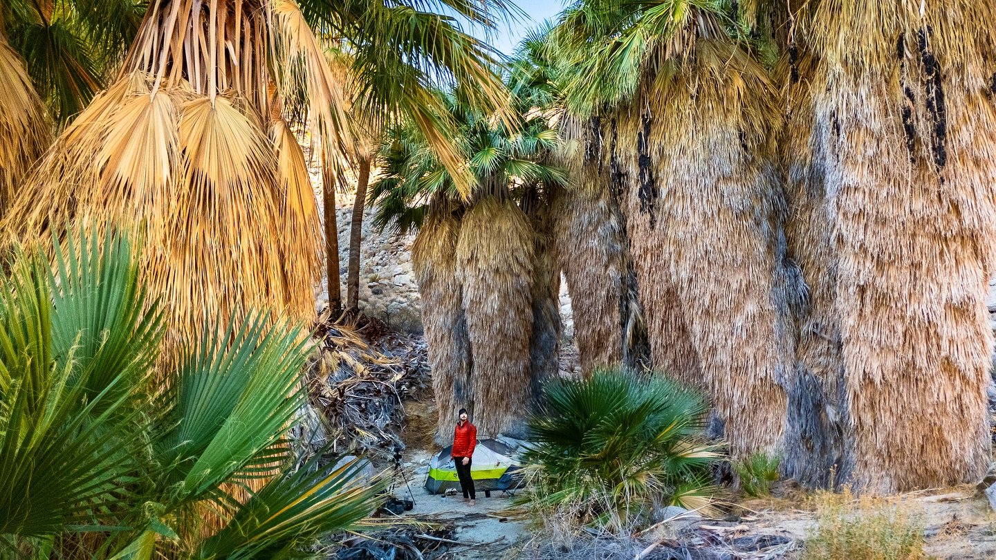 Anza Borrego 🌴