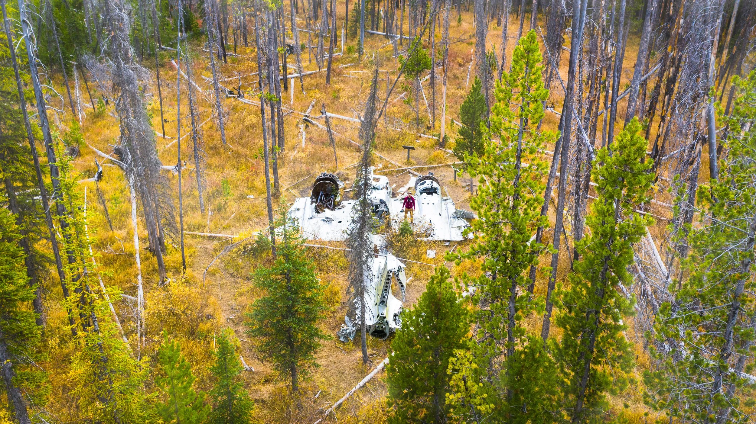 Aerial drone photo of the downed B-23 bomber resting beside Loon Lake near McCall, Idaho, surrounded by pine forest and mountain terrain.