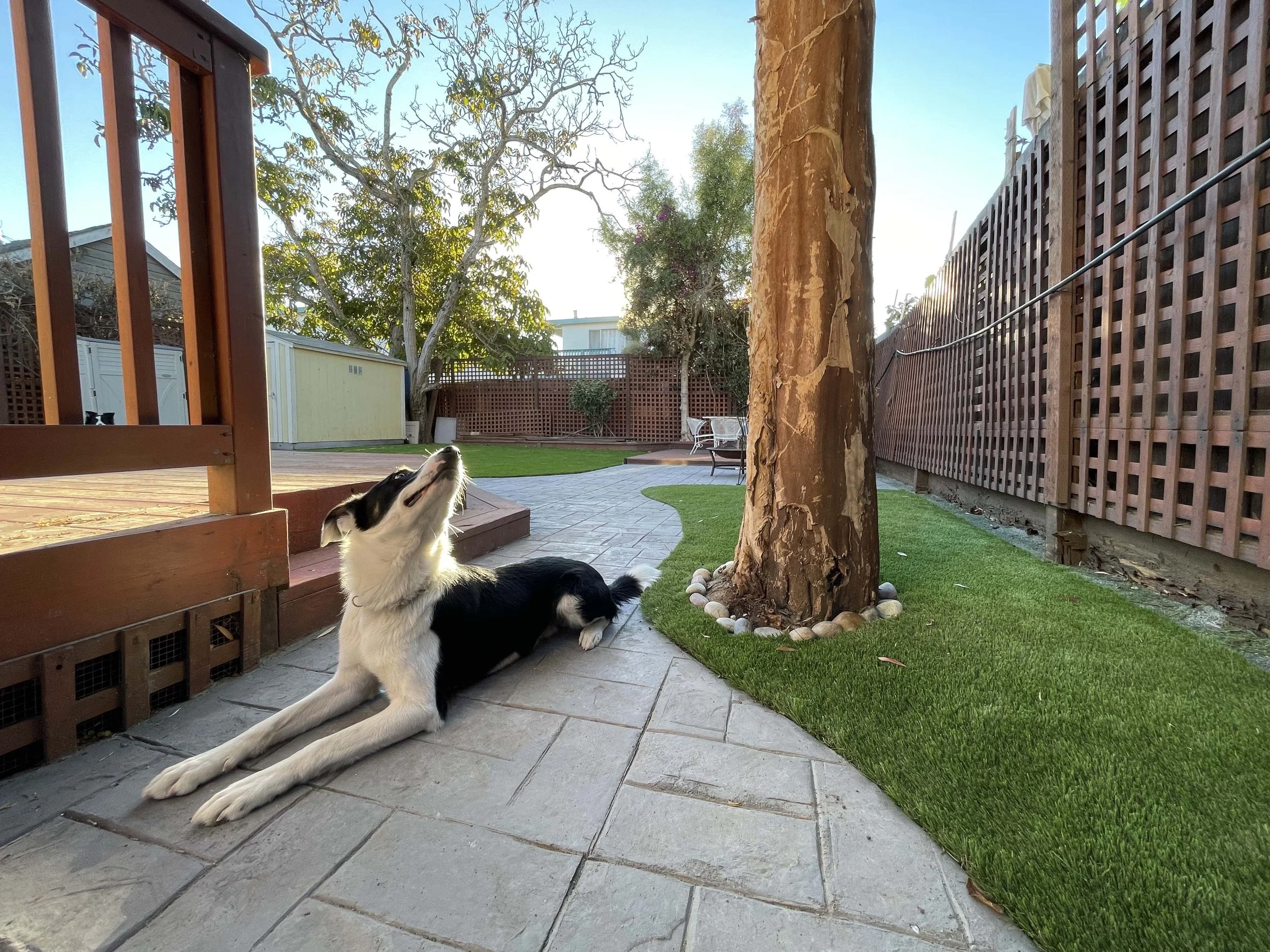 ADA Handicap Ramp Concrete Contractor — Los Altos Concrete Co.