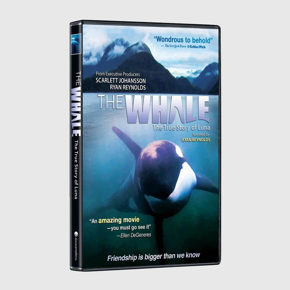 The Whale Movie - Branding