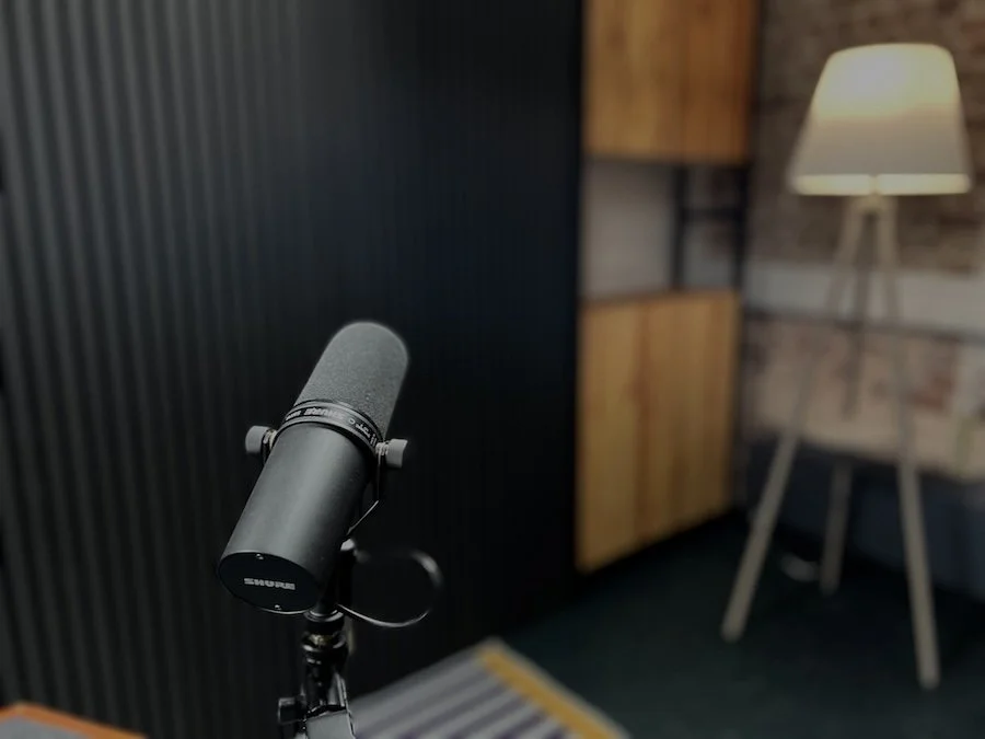 Mic 1 View.jpg