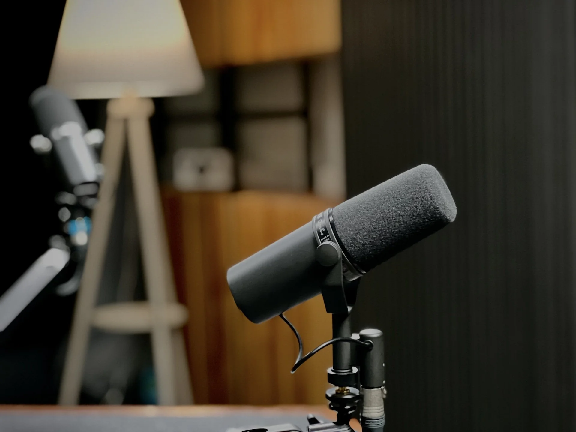 Mic 1 Portrait.jpg