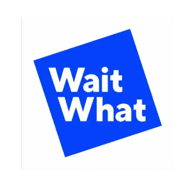 Wait What Logo