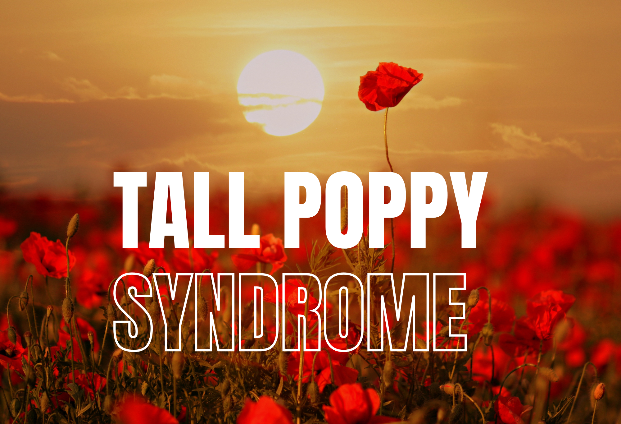 Tall Poppy Syndrome