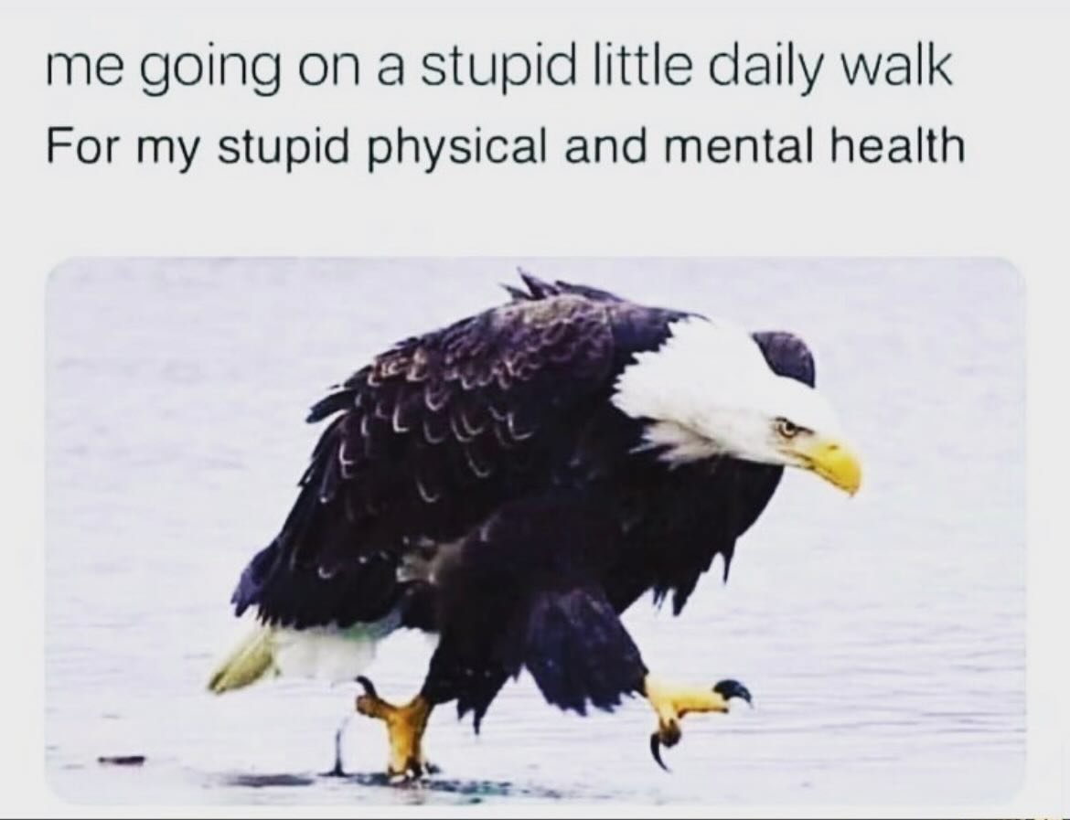 Just do the stupid walk!!
🌳💨☀️🦅
Taking walks in nature reduces stress, boosts mood, promotes mindfulness, enhances creativity, and improves overall well-being. It&rsquo;s a simple yet effective way to support your mental health and physical health