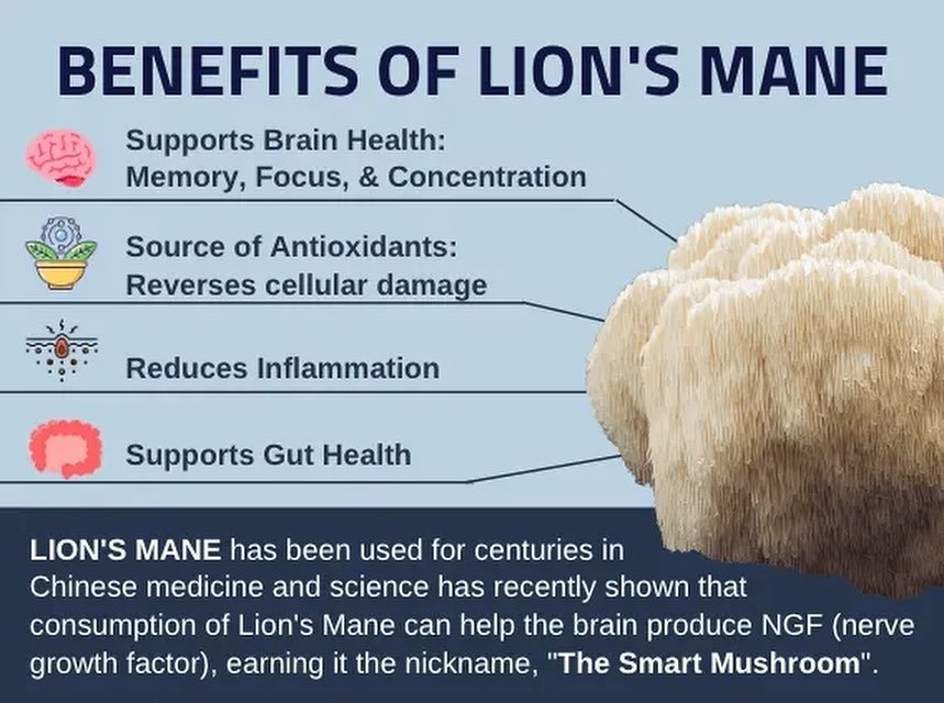 🍄 Discover the Power of Lion&rsquo;s Mane! 🧠

Looking for a natural boost for your brain and body? 🌿 Meet Lion&rsquo;s Mane! This incredible mushroom offers a host of benefits:

🧠 Enhances cognitive function
😊 Supports mood and reduces stress
💪