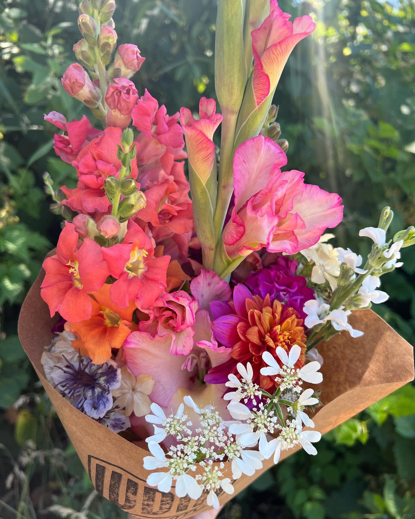 💐FLOWER STAND PREVIEW💐

The stand is fully stocked today, and here are just a few of the bouquets you can find. They&rsquo;re loaded with gladiolus, snapdragons, and we have dahlias, zinnias, and nigella sprinkled in. 

Cash, Venmo, and PayPal acce