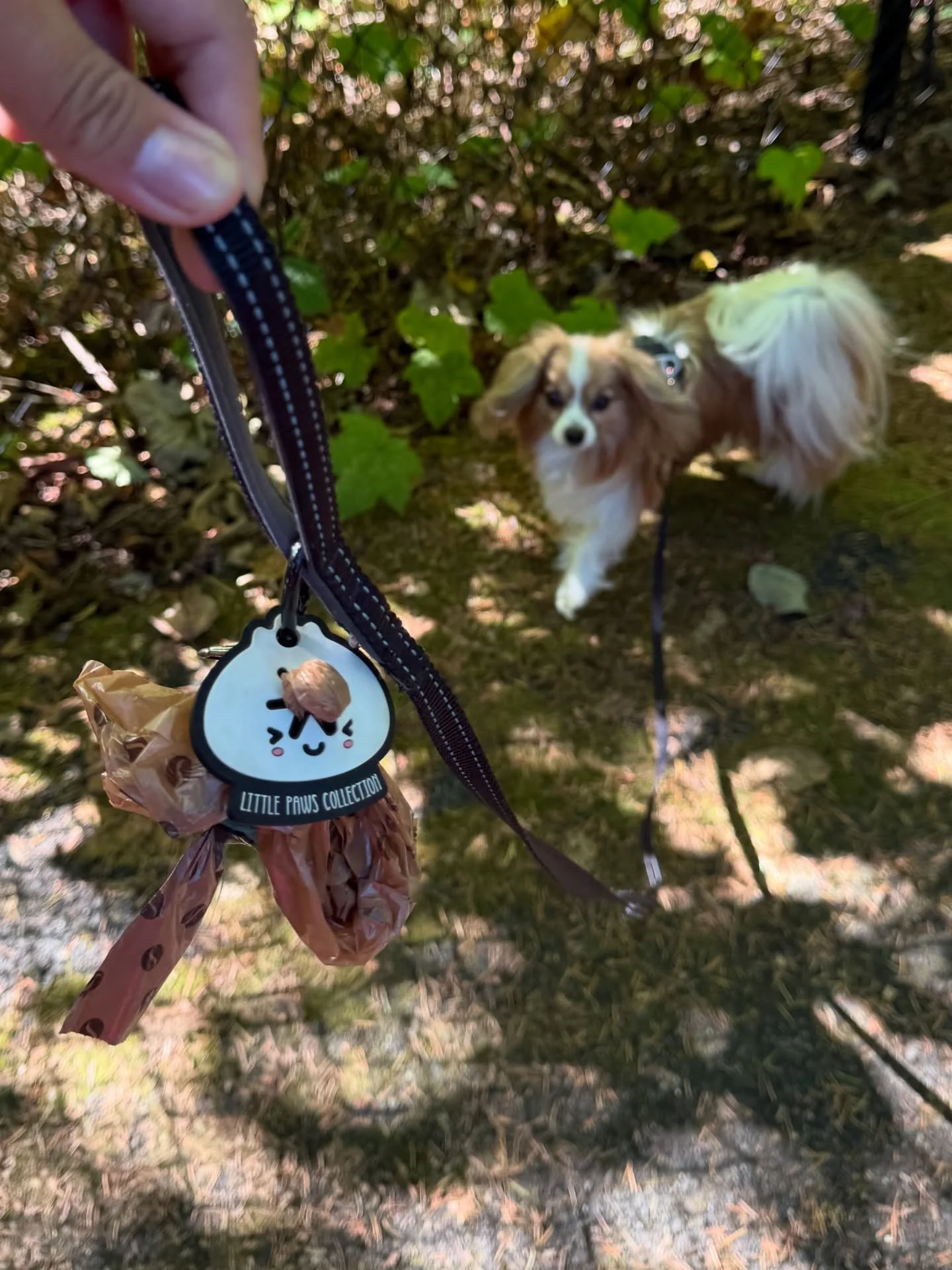 Monarque&rsquo;s dad and I love dumplings almost as much as we love Monarque himself 🥟 when I saw this dump-totin&rsquo; dumplin&rsquo; from @littlepawscollection, I knew we had to have it! Makes us smile every day 💩💩