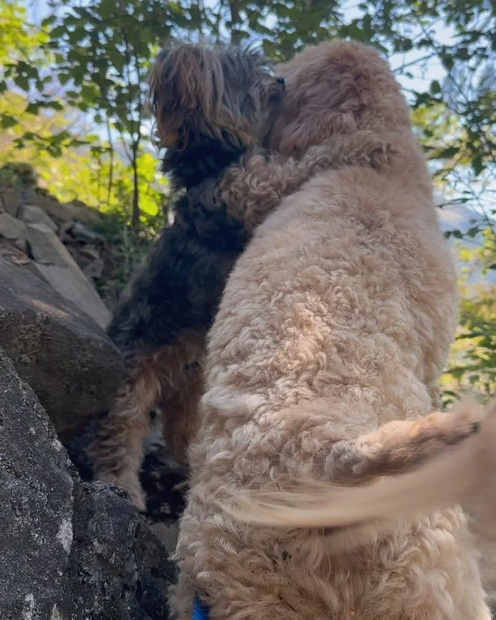 Making friends at the crag 🫂