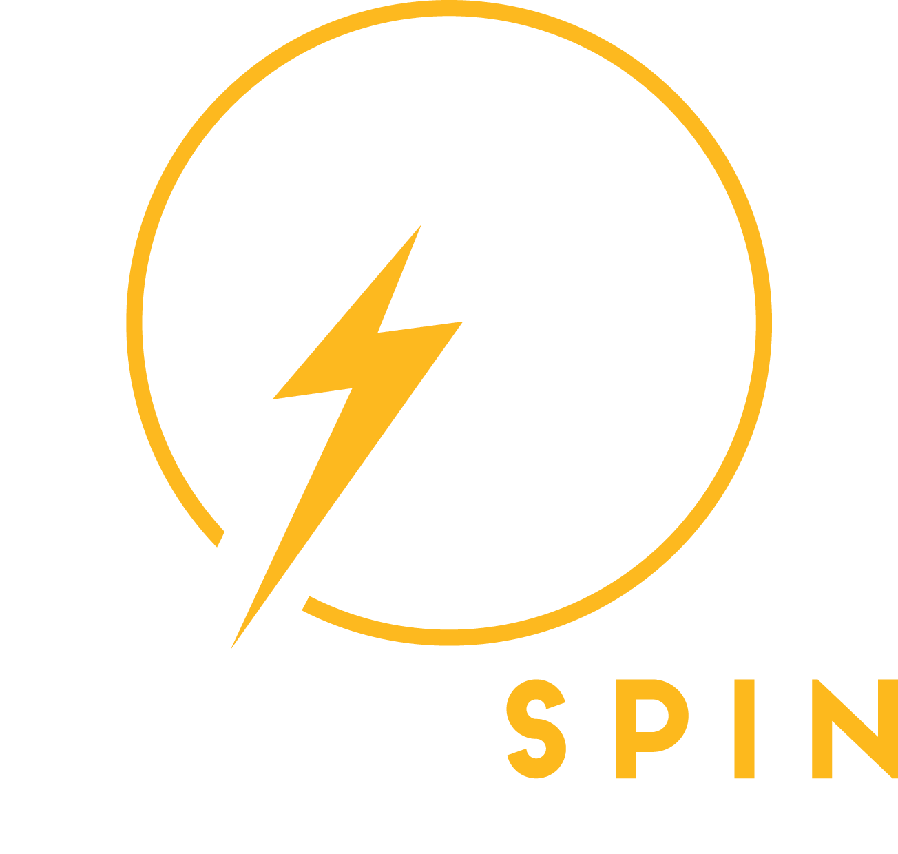 Pure Spin Studio