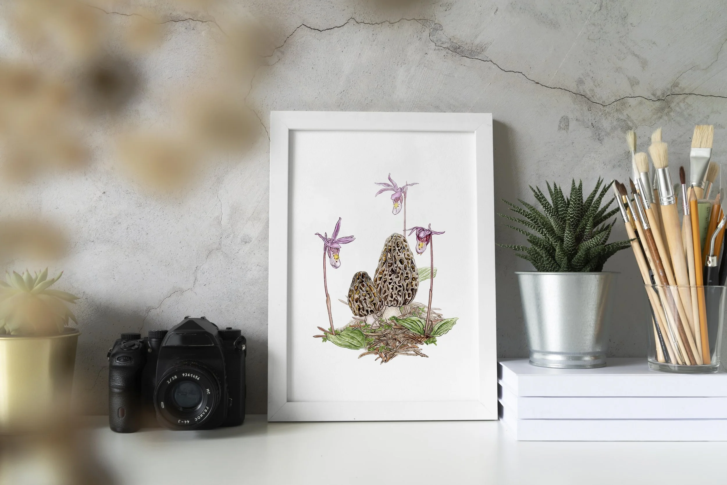 Black-Morels-and-Calypso-Orchids_Mock-Up_3.jpg