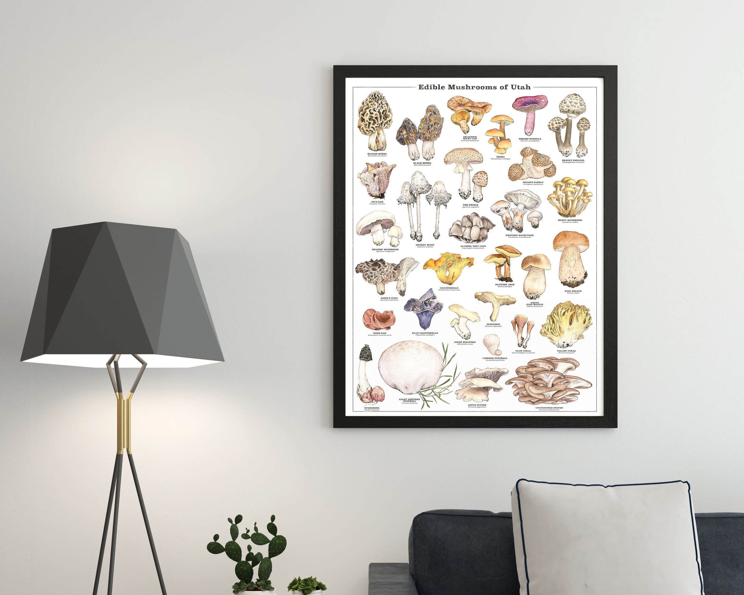 Edible-Mushrooms-of-Utah_Etsy_1.jpg