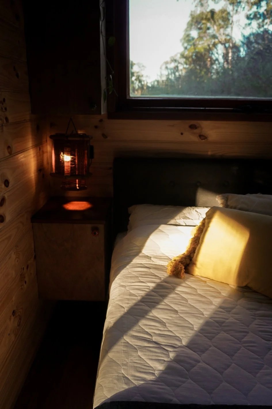 Tiny house in sunshine coast OldDayz window and bed