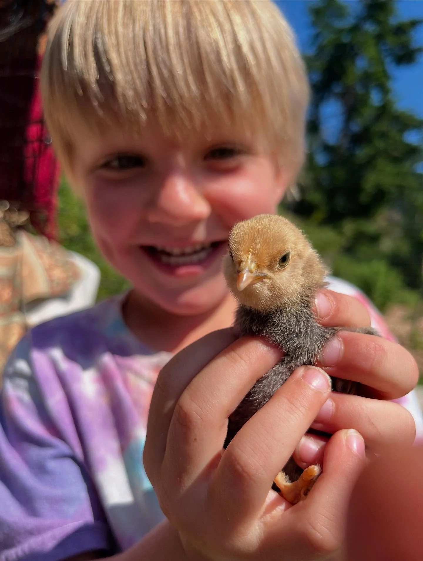 ✨ Dear Parents ✨
Are you seeking a learning experience that feels more like a village&mdash;where childhood is honored, nature is the classroom, and community is at the heart?

🌿 Join us for our Final Open House this Wednesday, August 20 | 10am&ndas