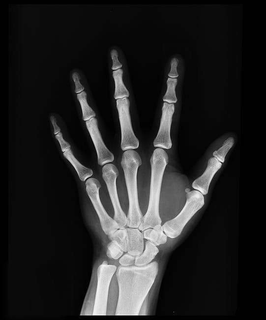 Osteoporosis - what vitamin could be the key to prevention?