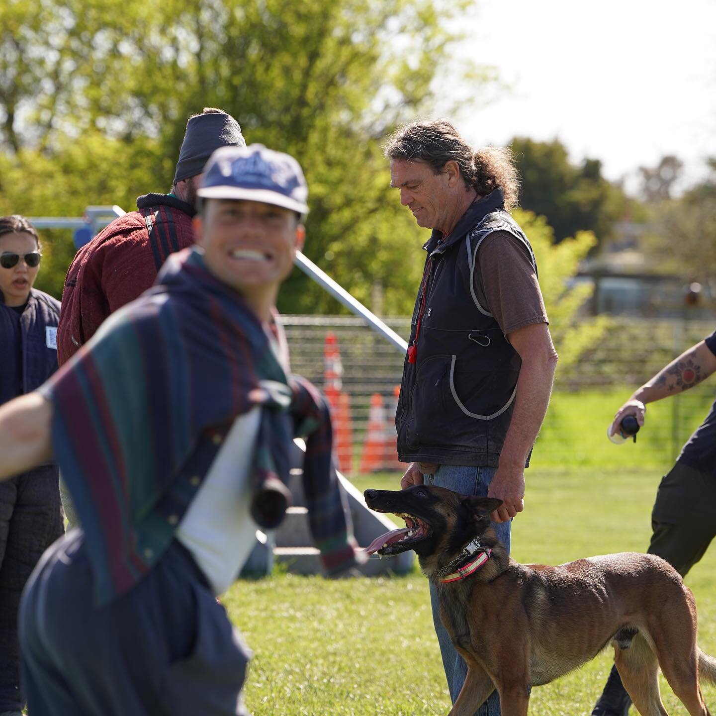 Forrest Micke Dog Training Education