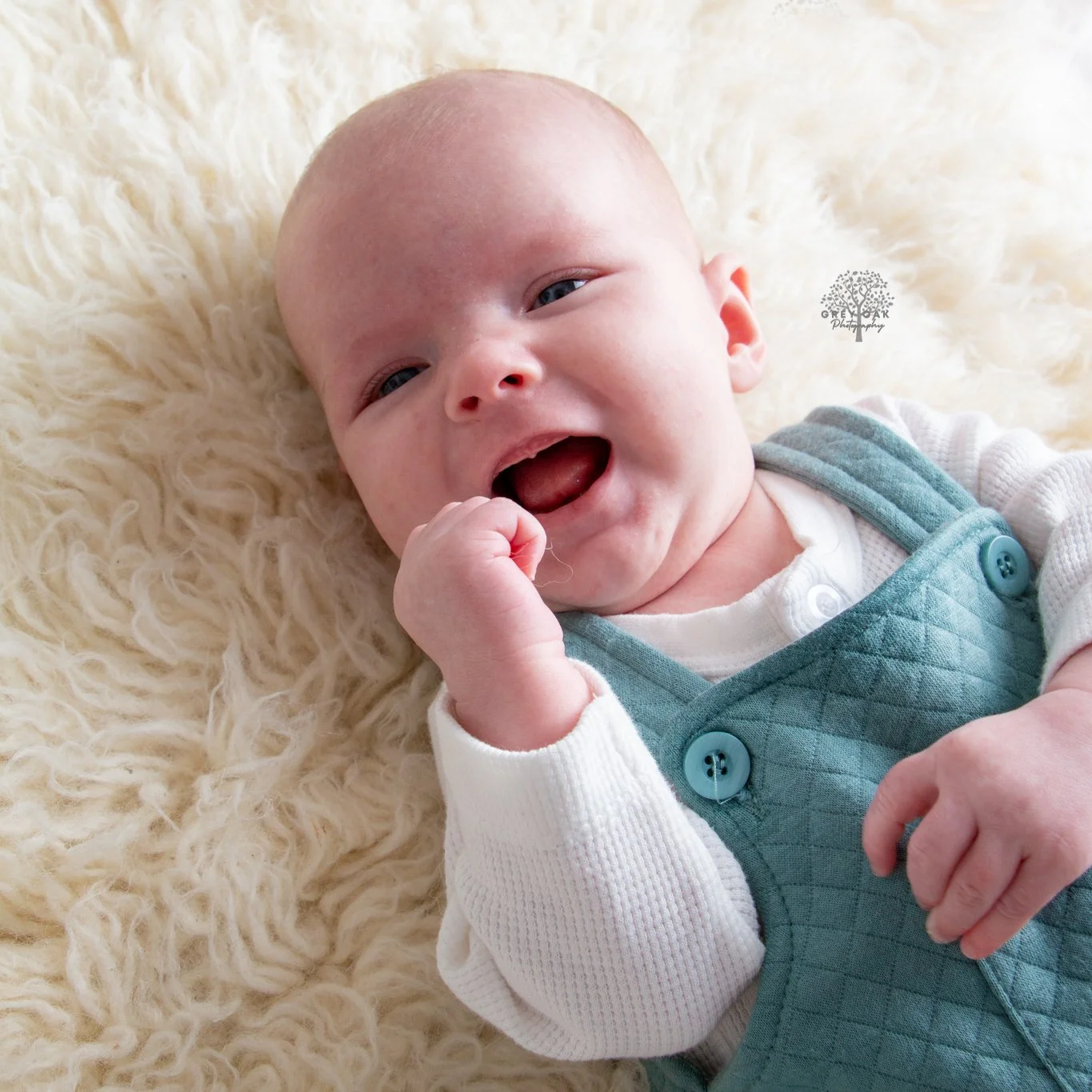 Family session Melbourne Photographer Montmorency