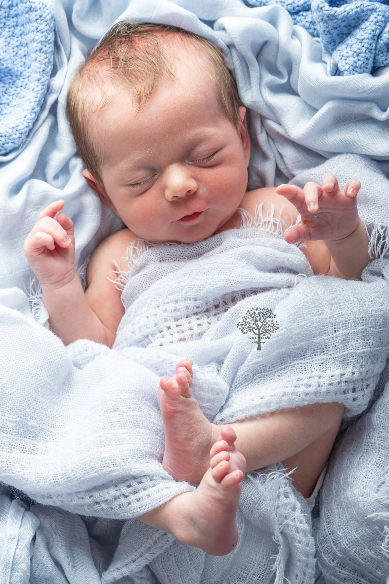 newborn session Melbourne Photographer Montmorency