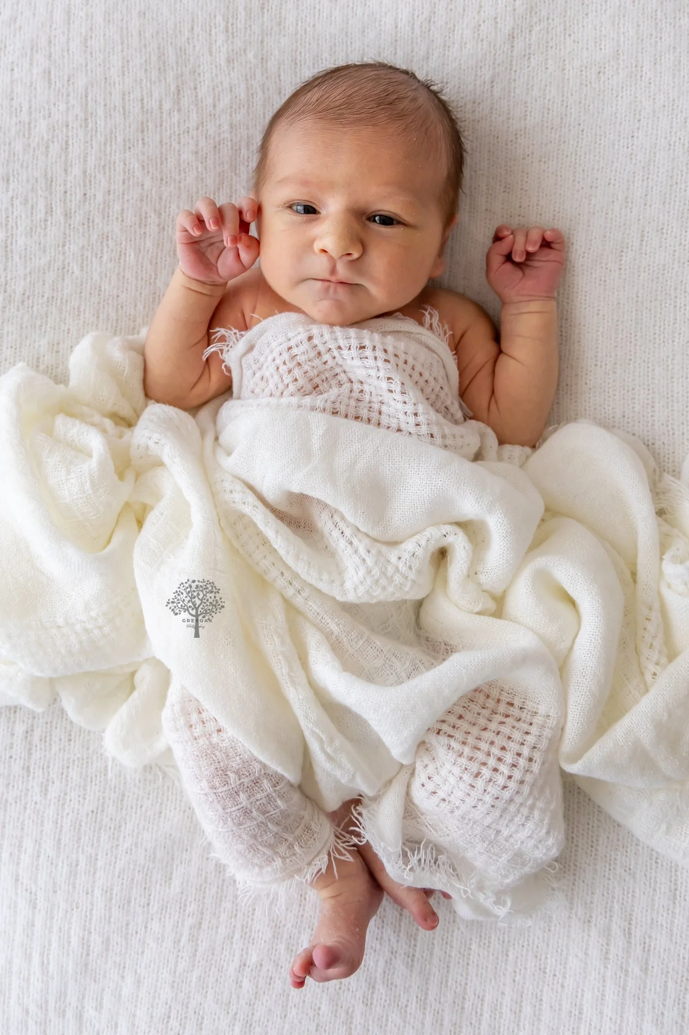 Melbourne newborn session Photographer Photography Montmorency