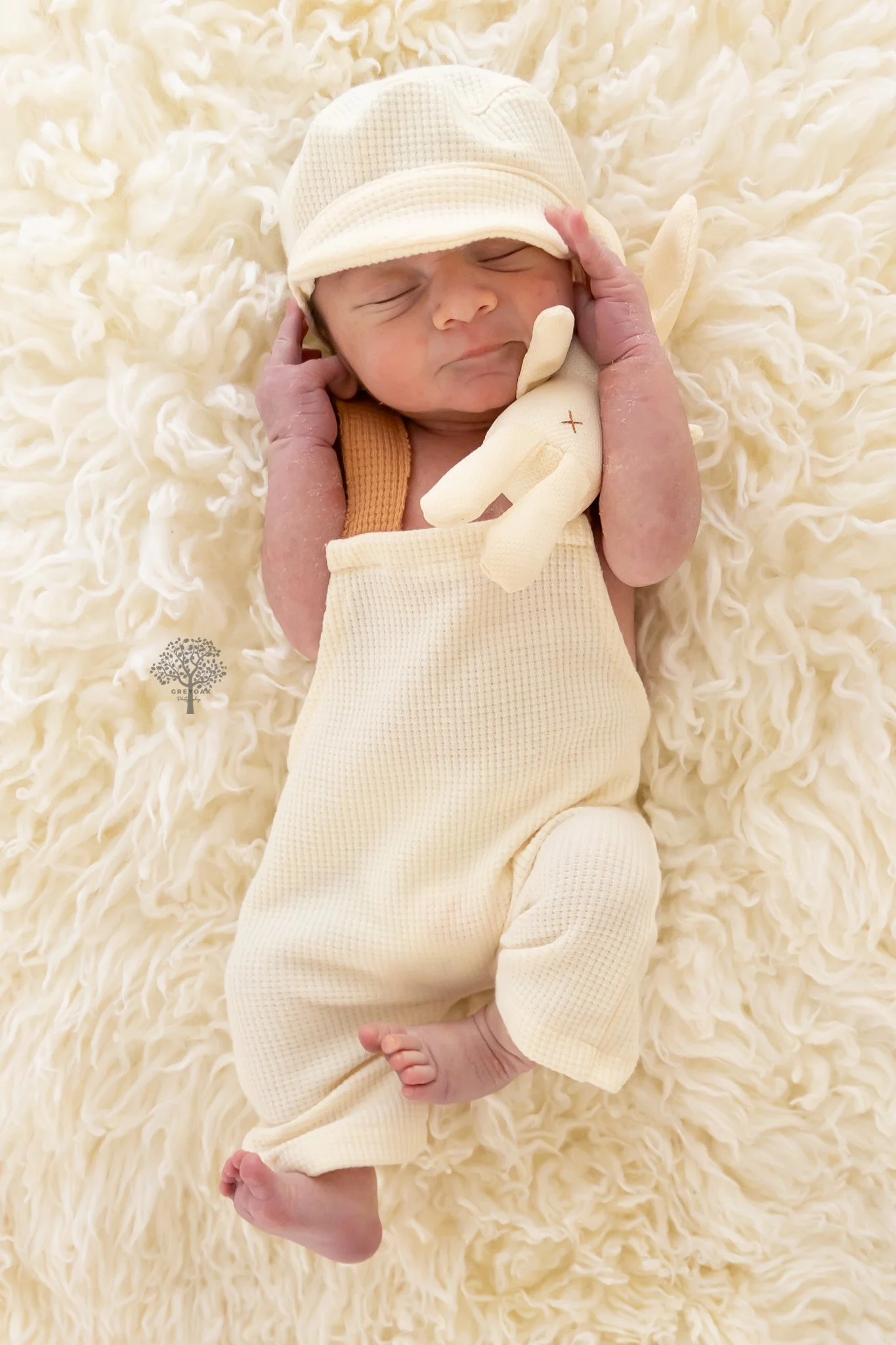 Melbourne newborn session Photographer Photography Montmorency