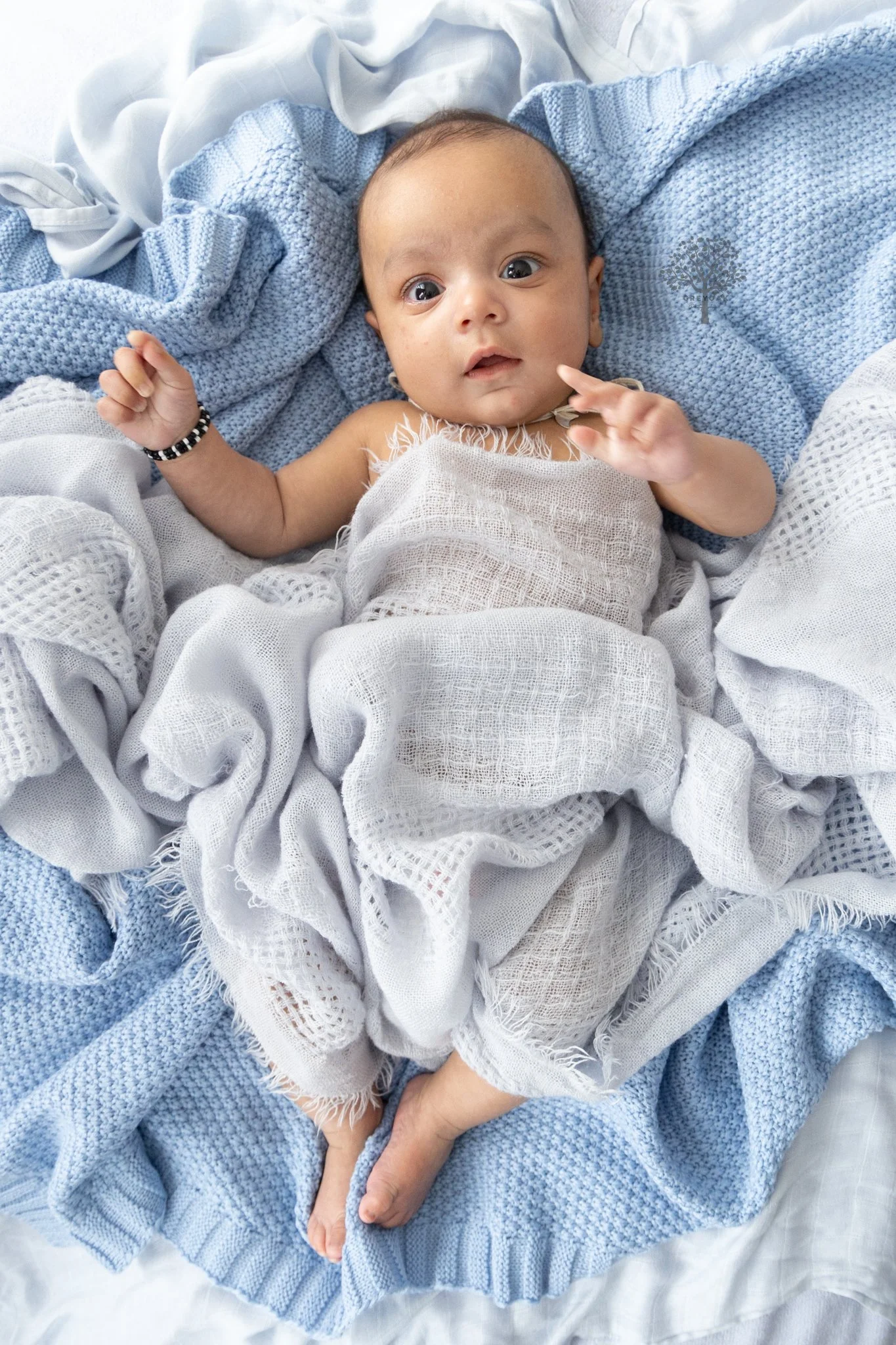 newborn session Melbourne Photographer Montmorency