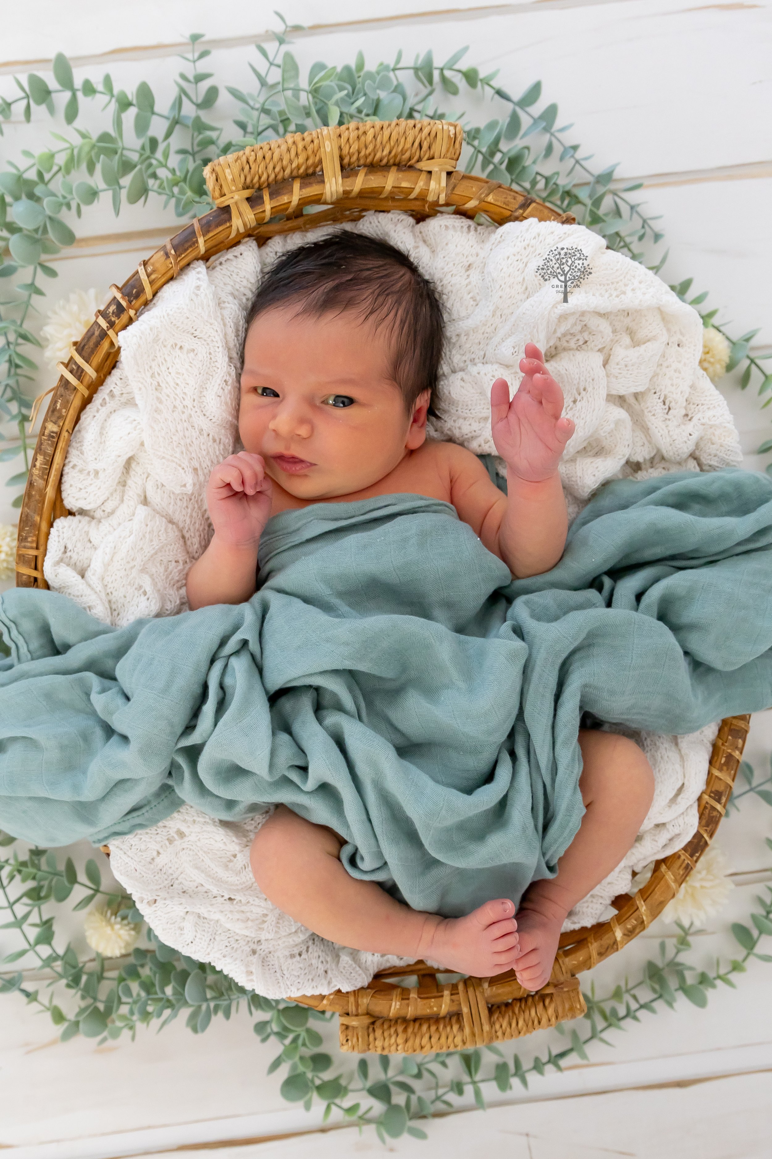 Melbourne newborn session Photographer Photography Montmorency