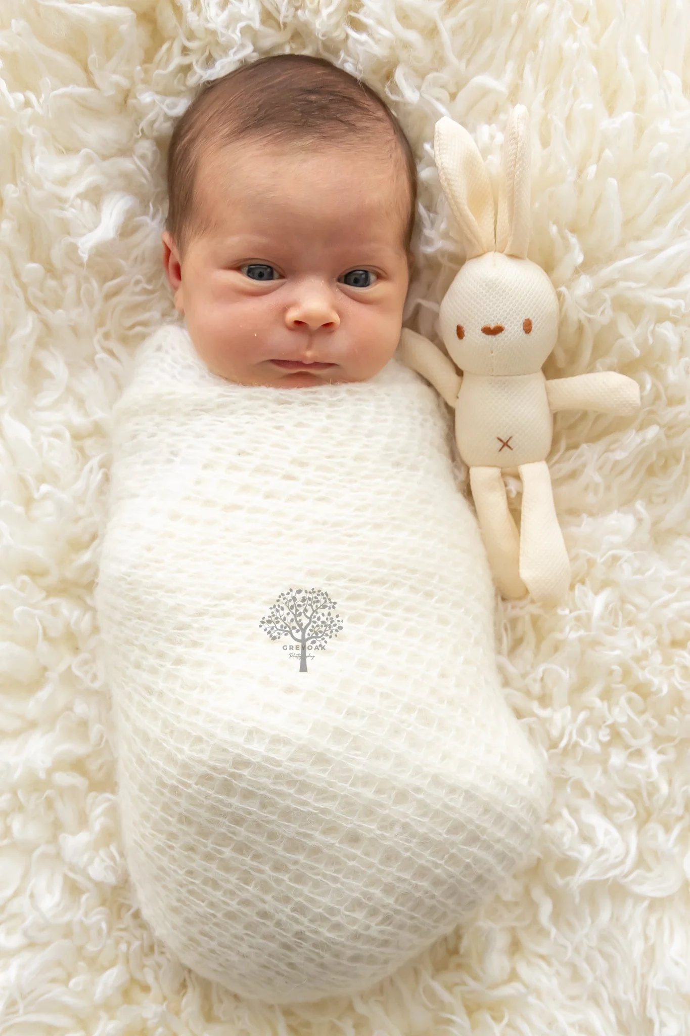 Melbourne newborn session Photographer Photography Montmorency