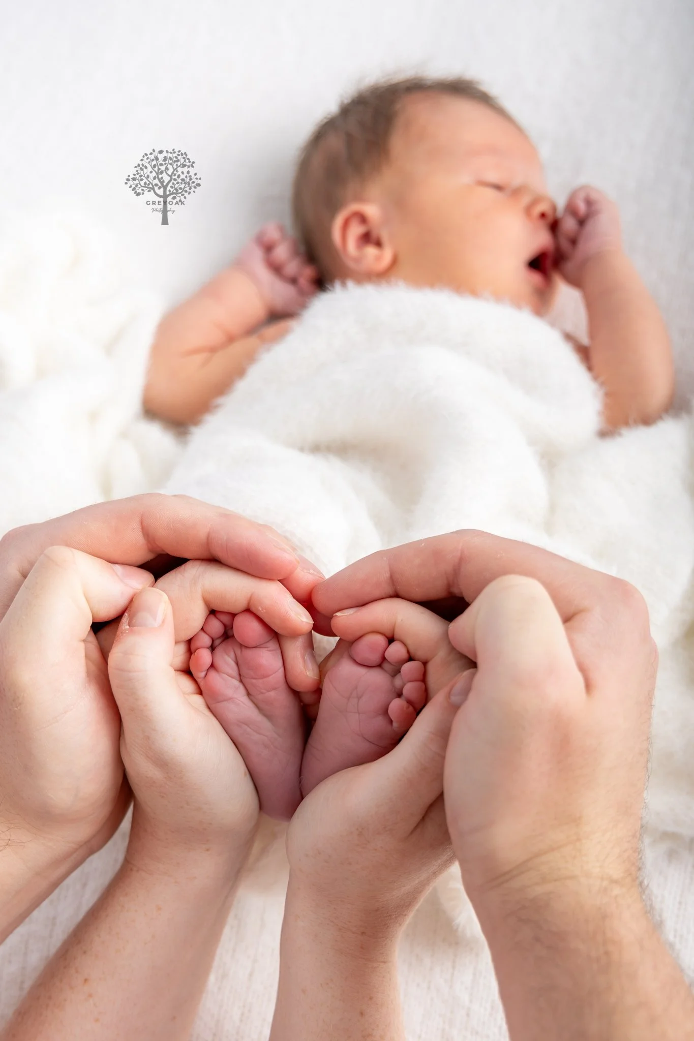newborn session Melbourne Photographer Montmorency