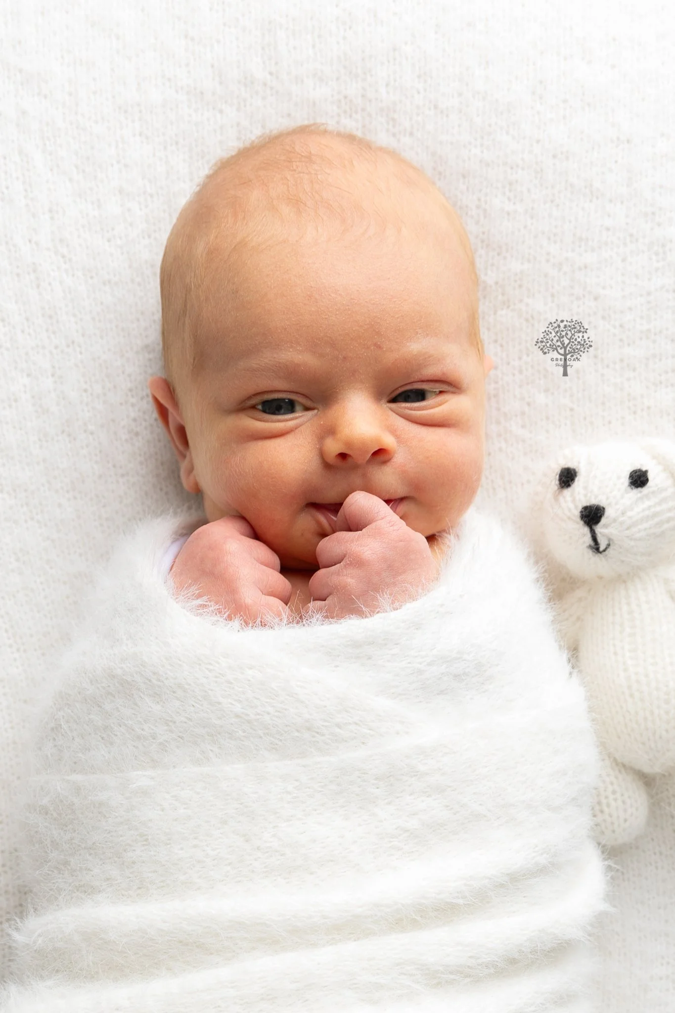 newborn session Melbourne Photographer Montmorency