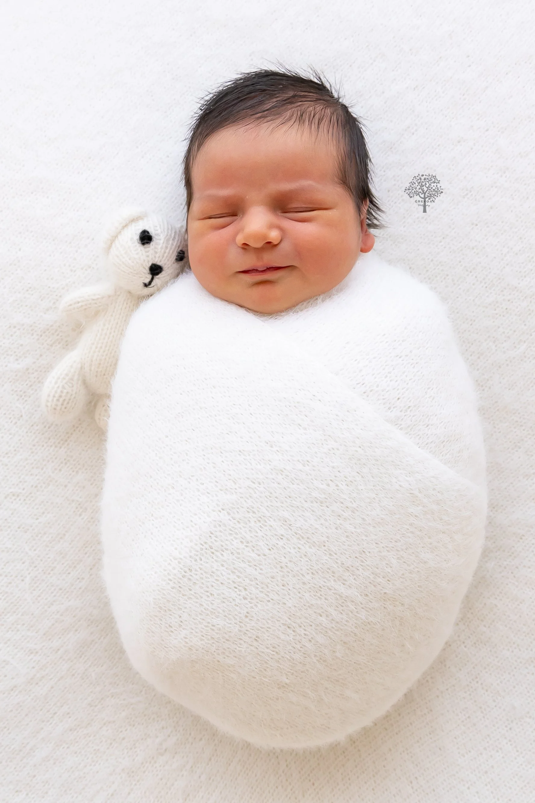 Melbourne newborn session Photographer Photography Montmorency