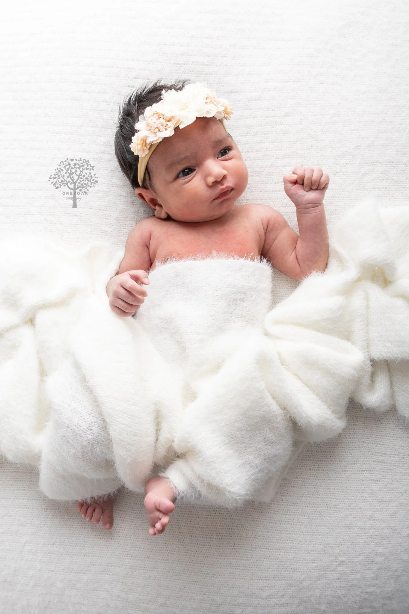 newborn session Melbourne Photographer Montmorency