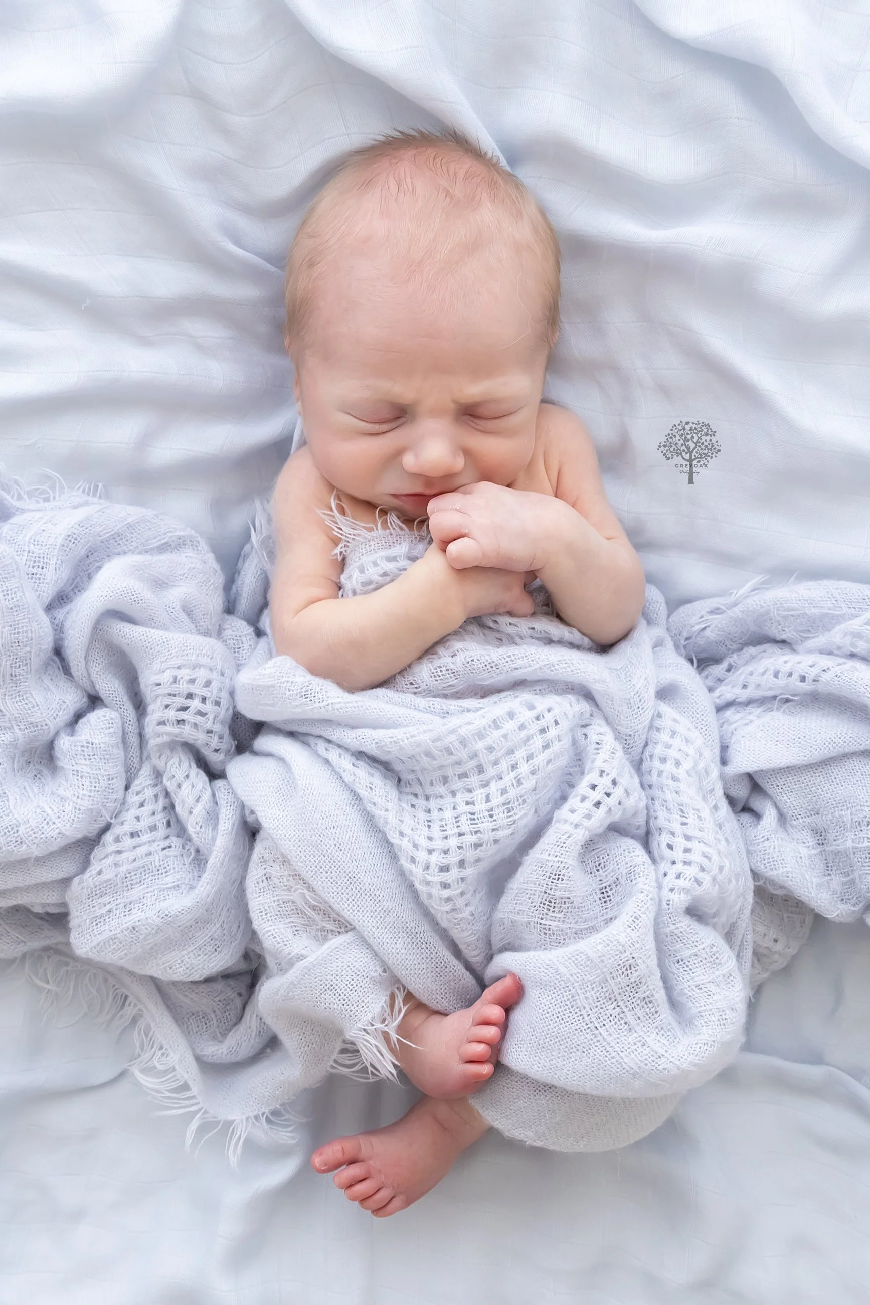 Melbourne newborn session Photographer Photography Montmorency