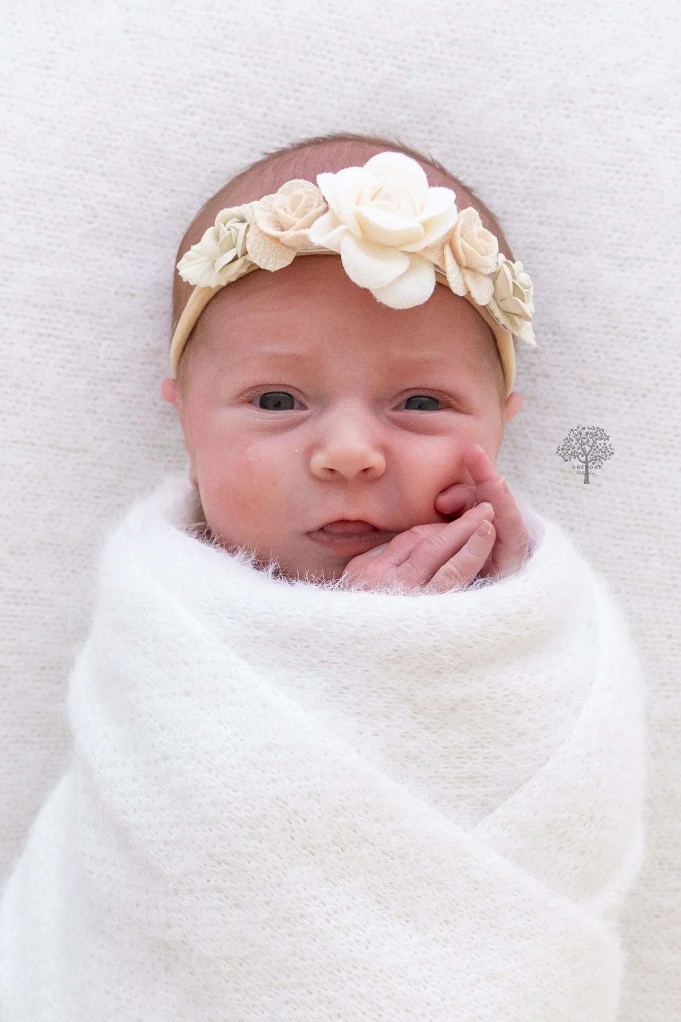 Melbourne newborn session Photographer Photography Montmorency