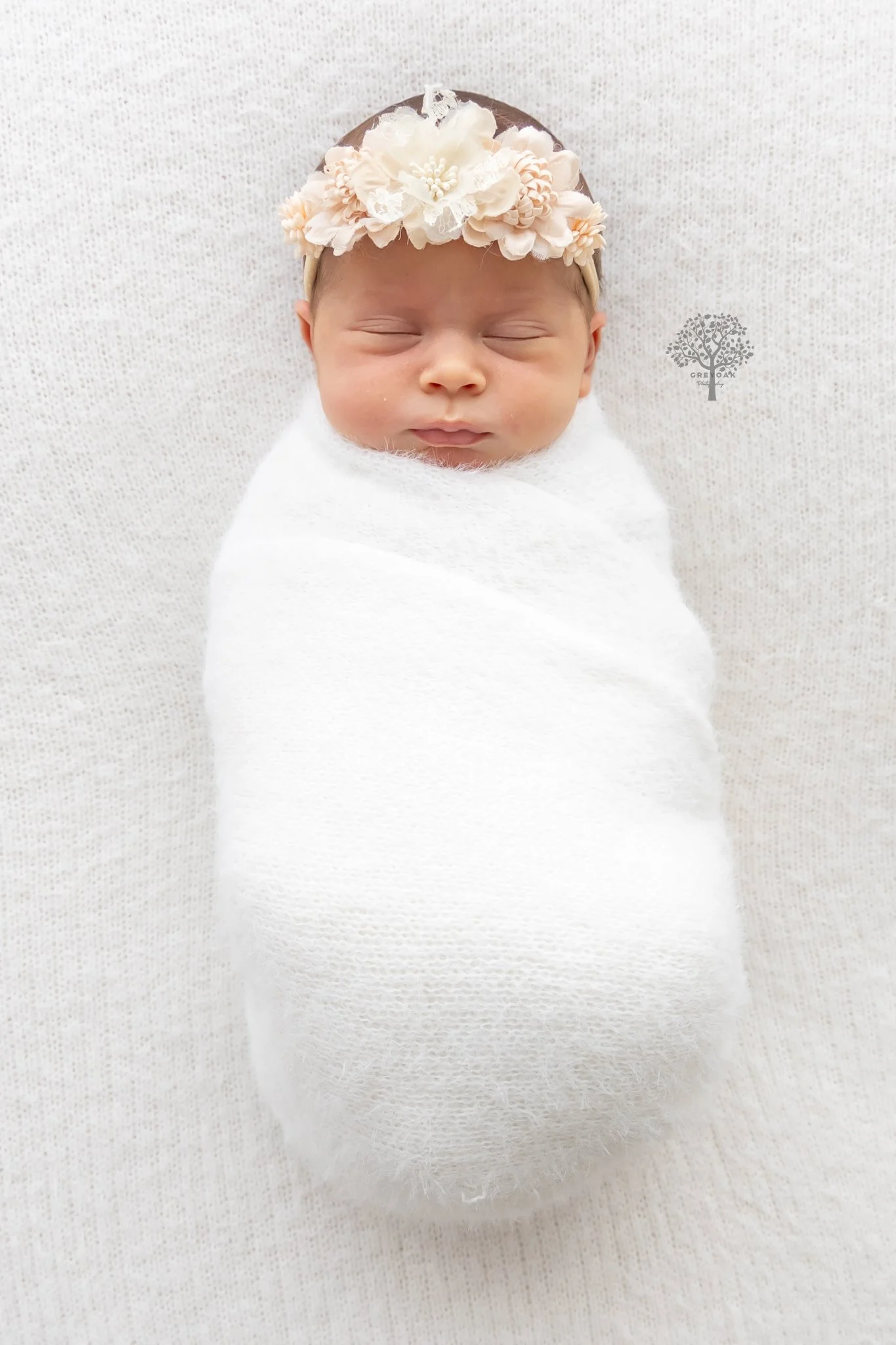 Melbourne newborn session Photographer Photography Montmorency