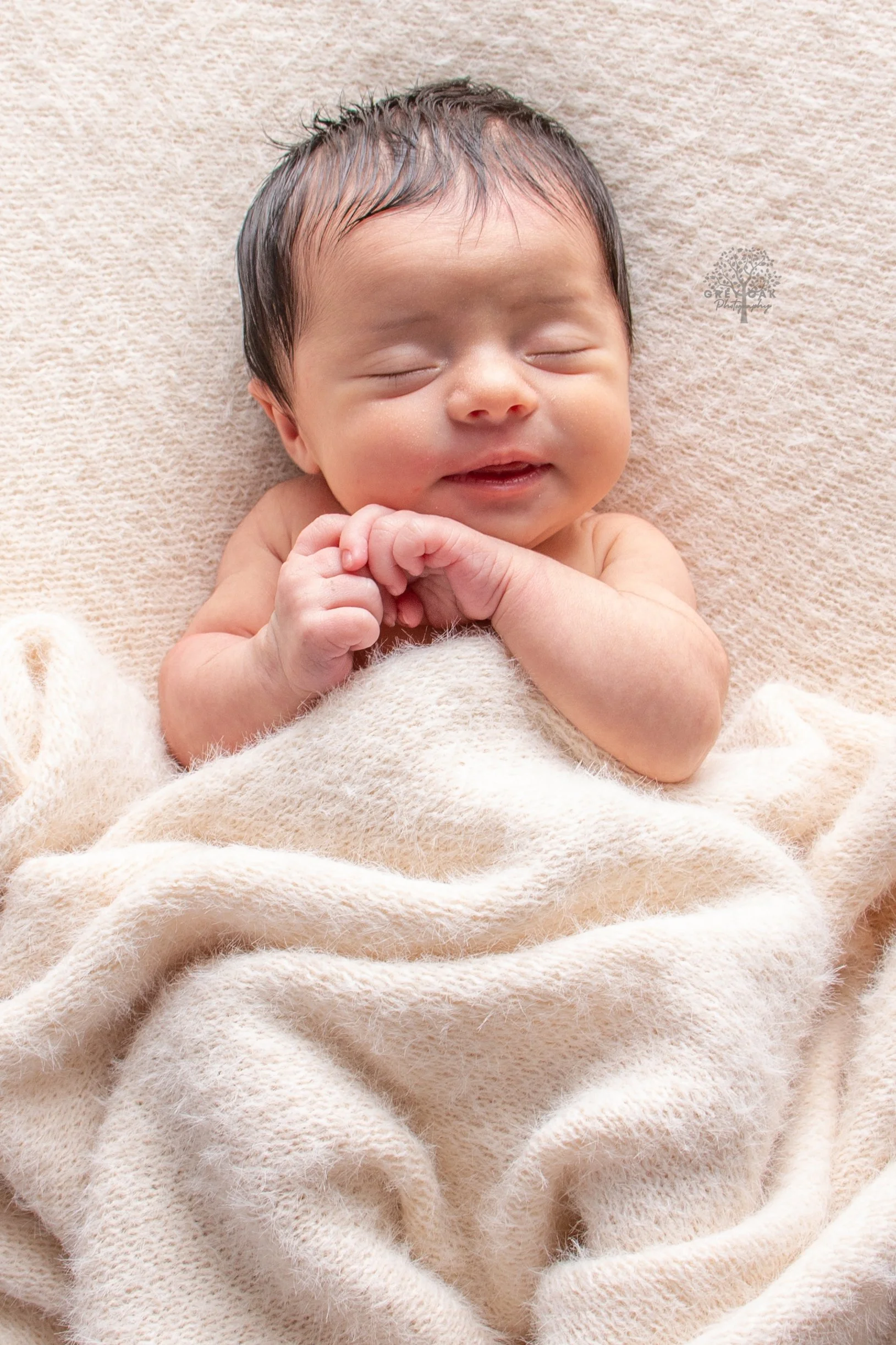 Newborn session newborn photography melbourne montmorency 