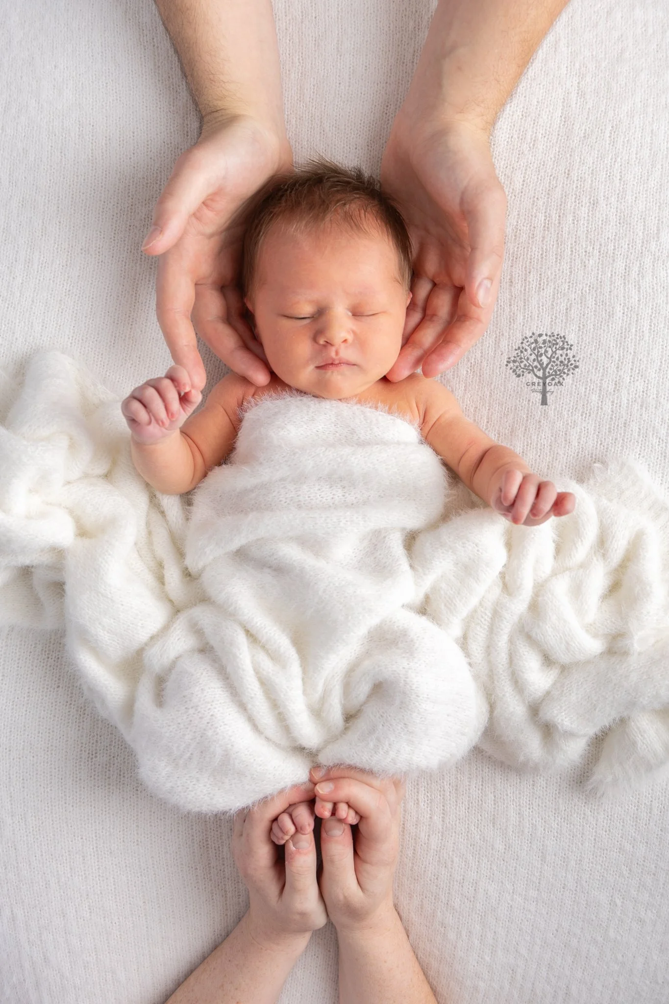 Melbourne newborn session Photographer Photography Montmorency