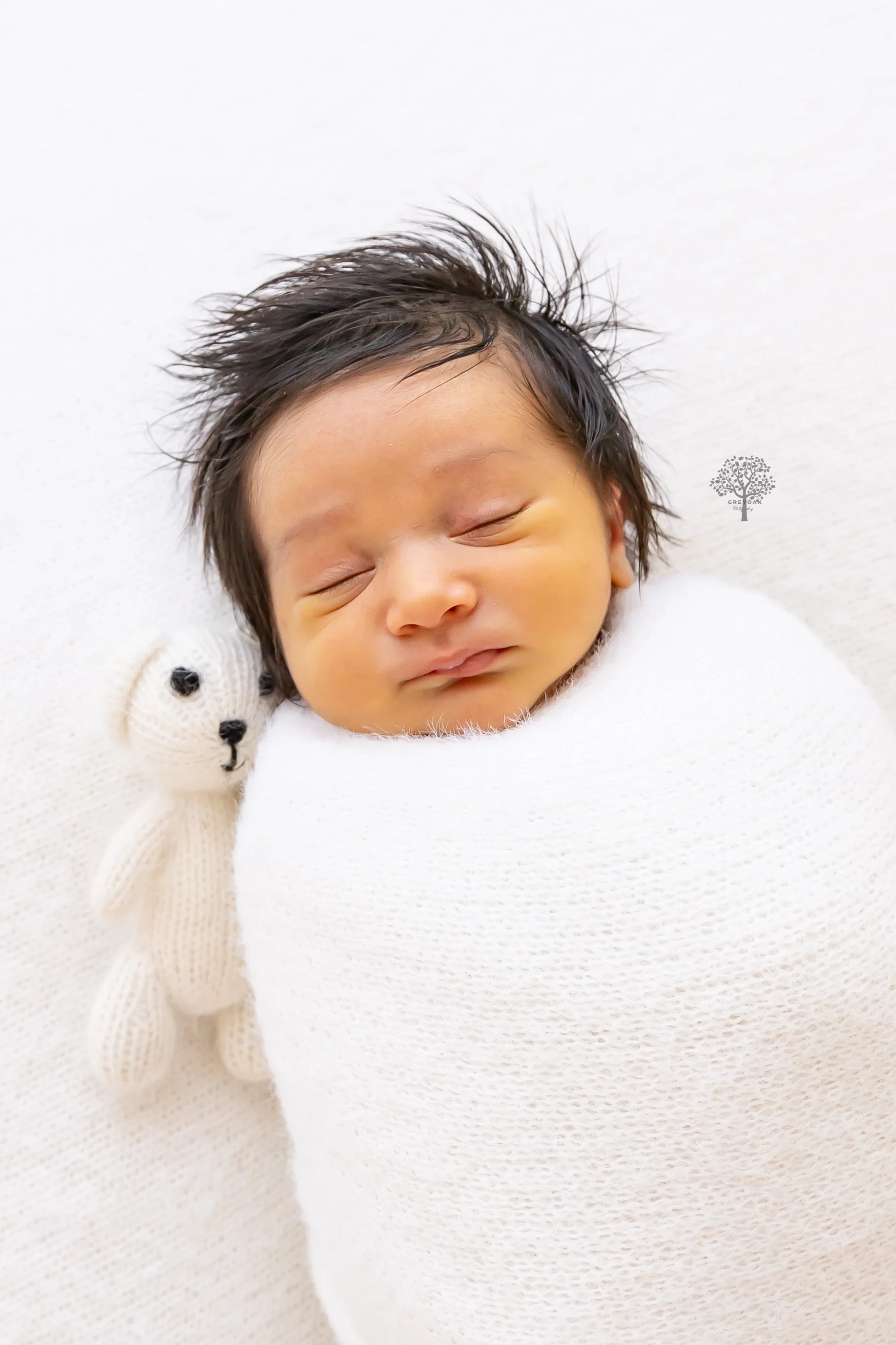 Melbourne newborn session Photographer Photography Montmorency