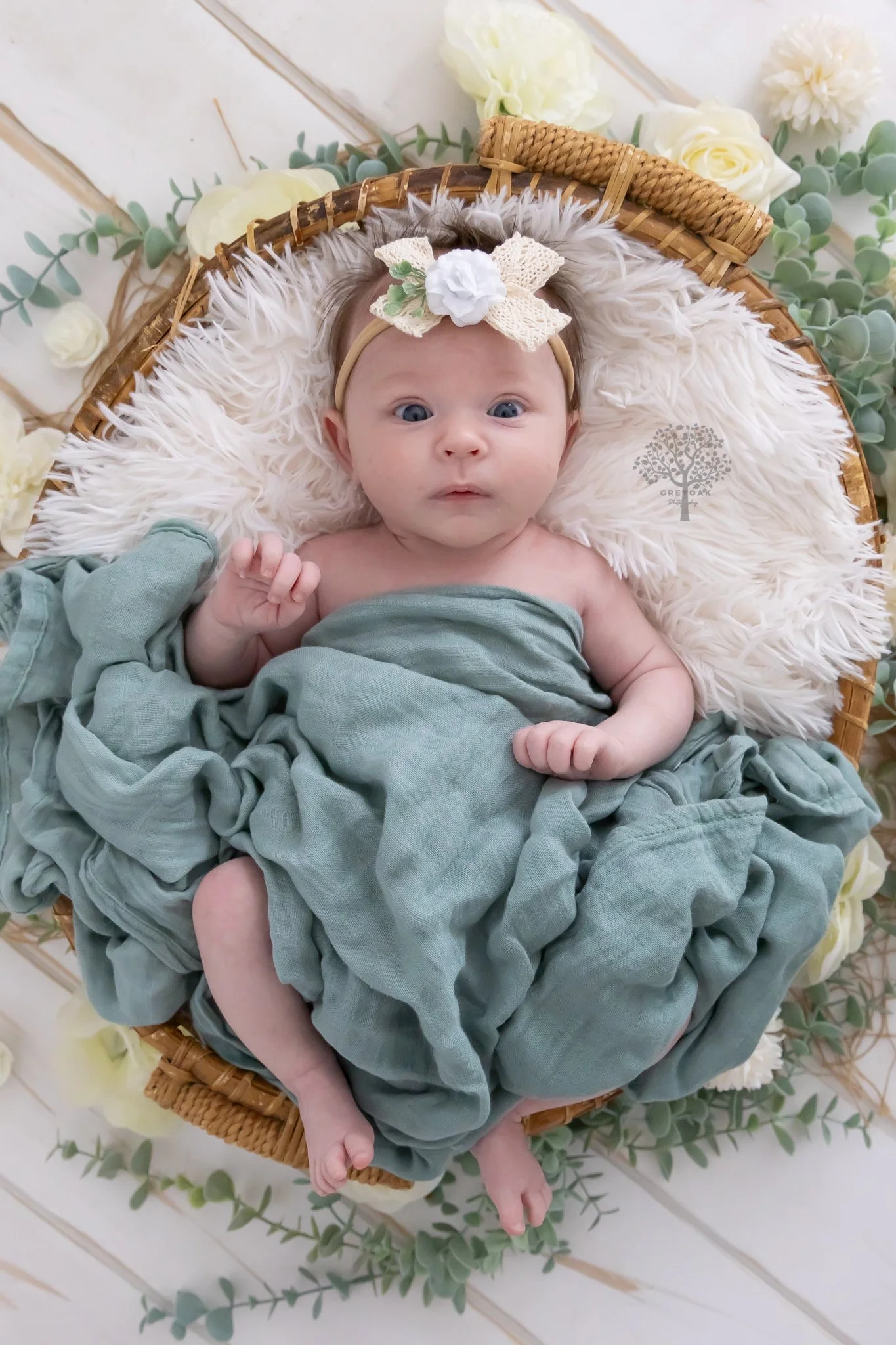 Melbourne newborn session Photographer Photography Montmorency