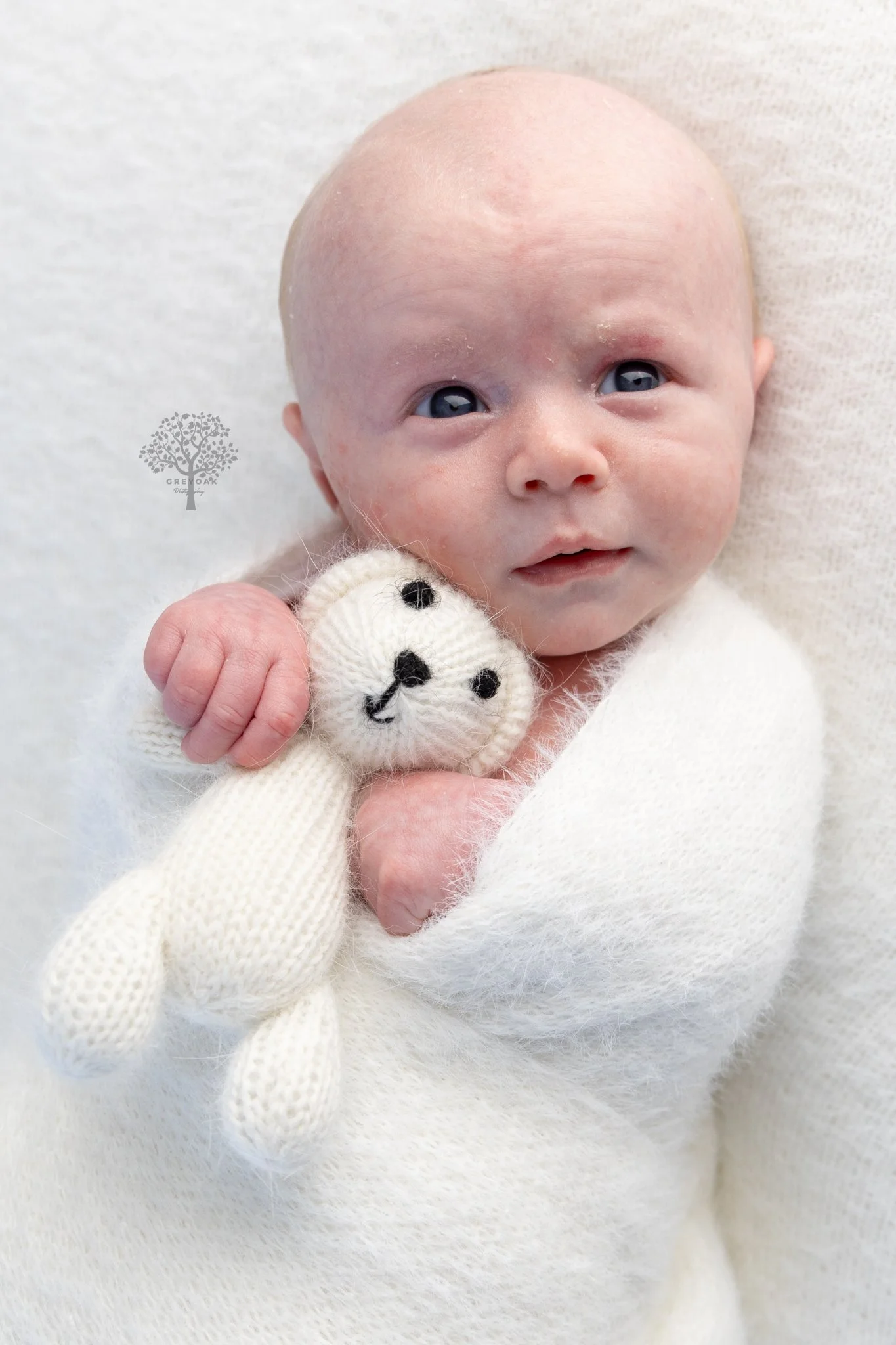 newborn session Melbourne Photographer Montmorency