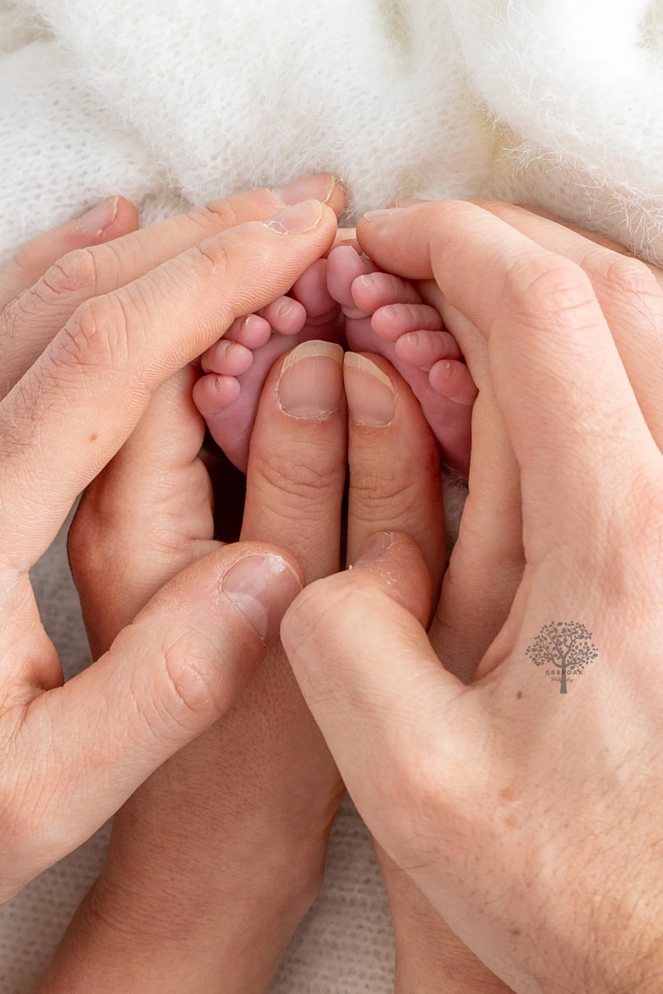Melbourne newborn session Photographer Photography Montmorency