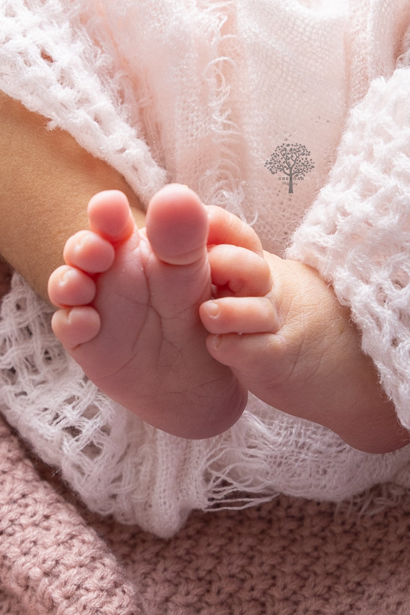 newborn session Melbourne Photographer Montmorency