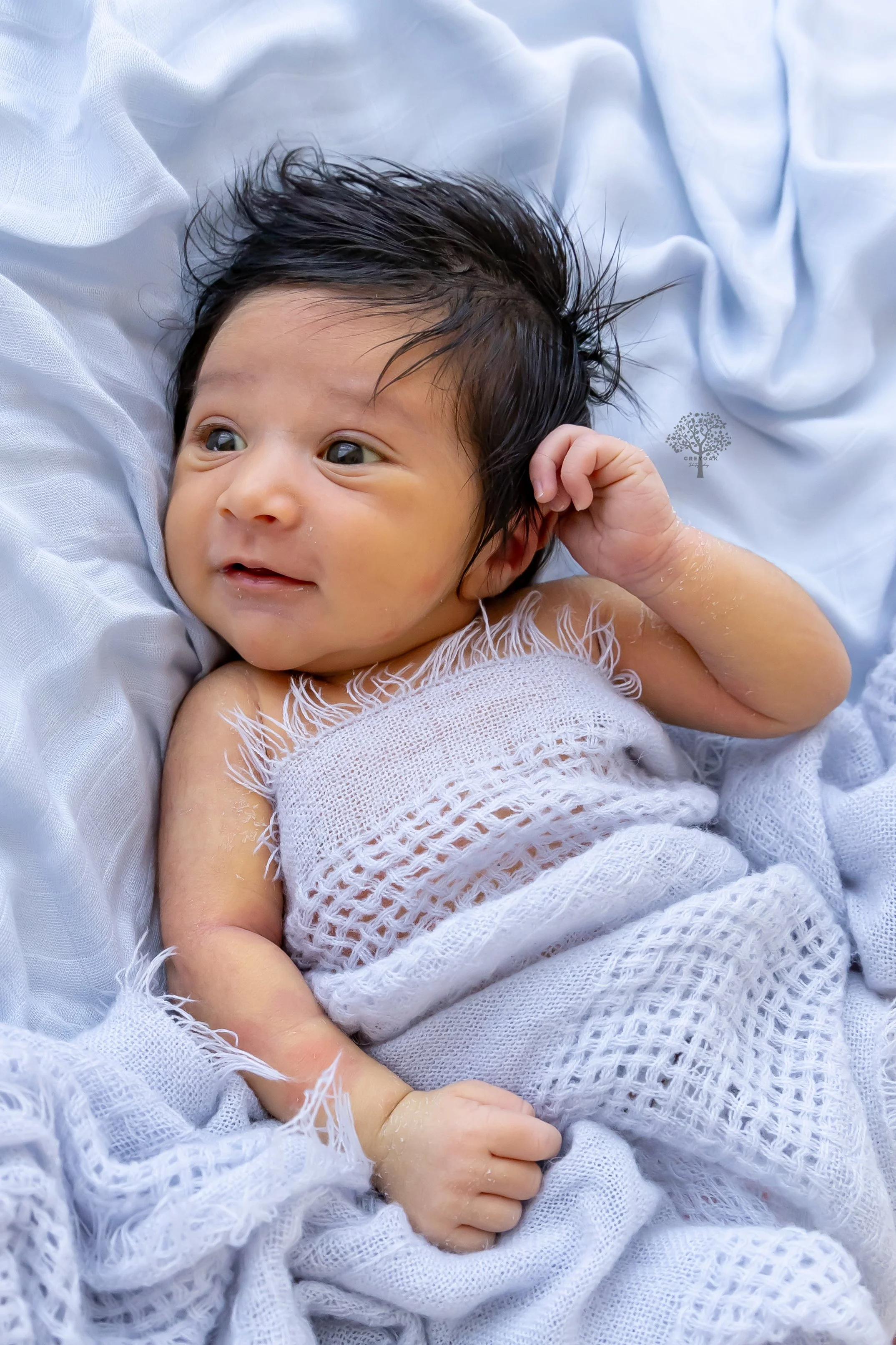 Melbourne newborn session Photographer Photography Montmorency