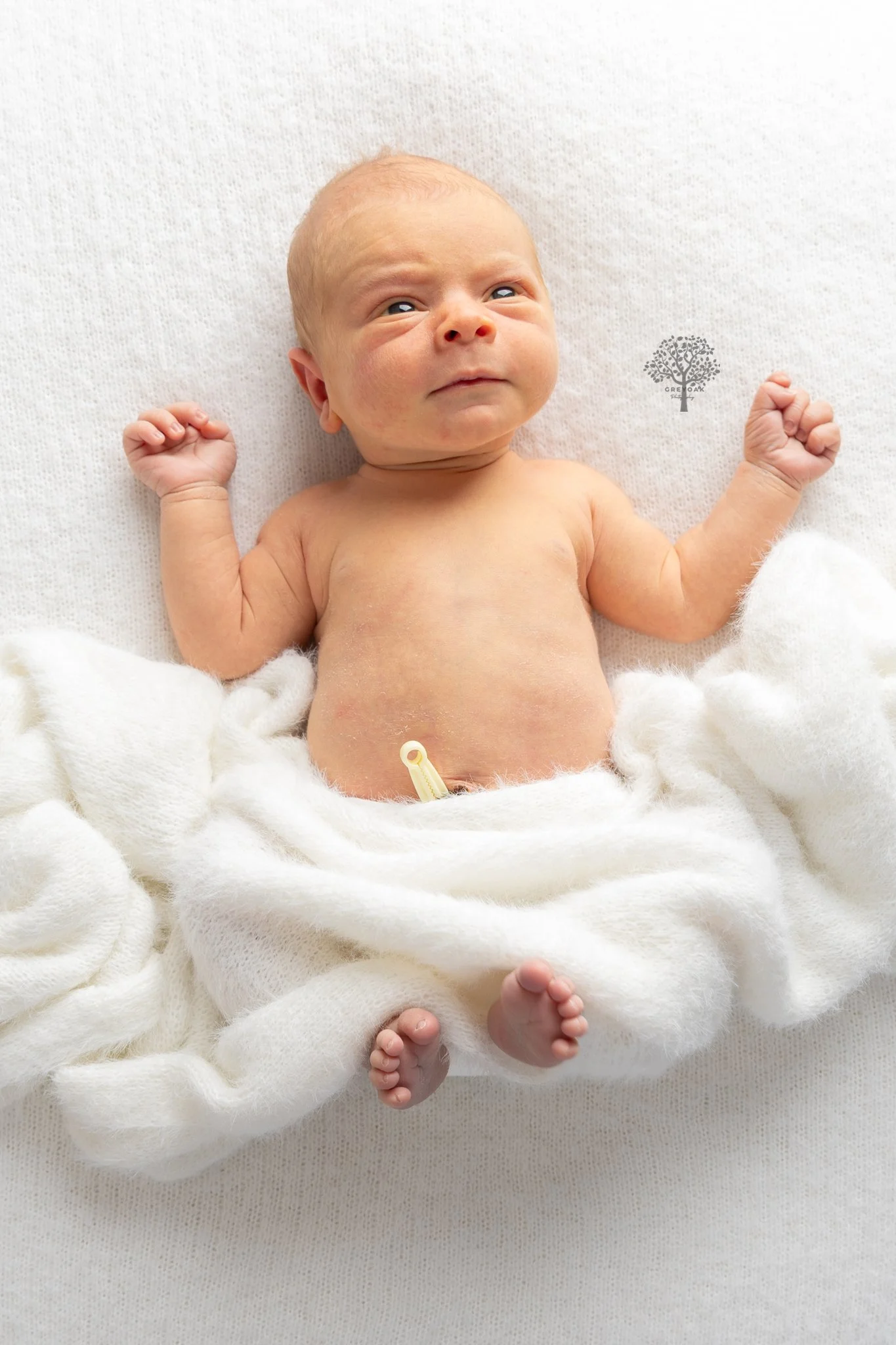 newborn session Melbourne Photographer Montmorency