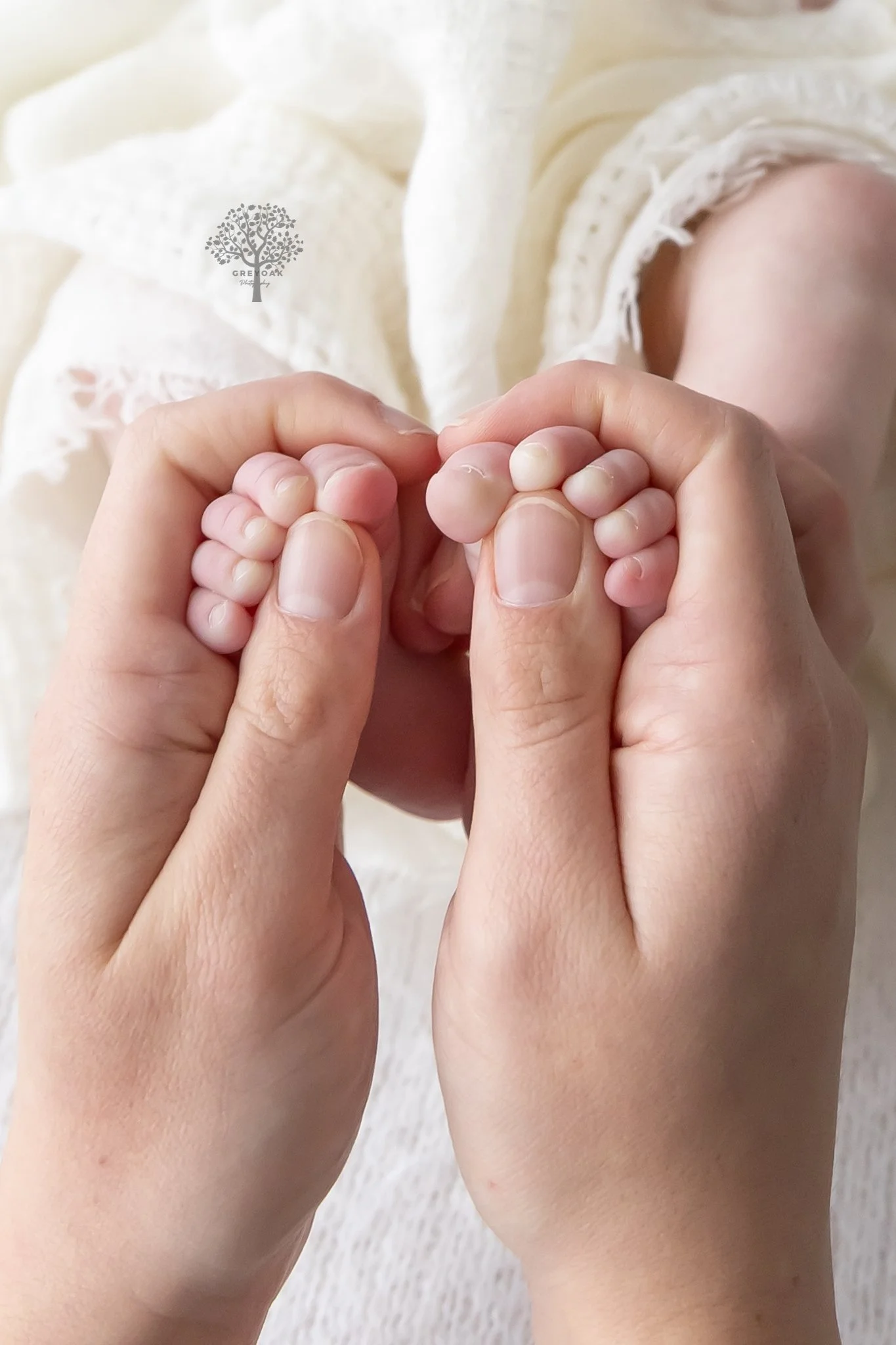 Melbourne newborn session Photographer Photography Montmorency