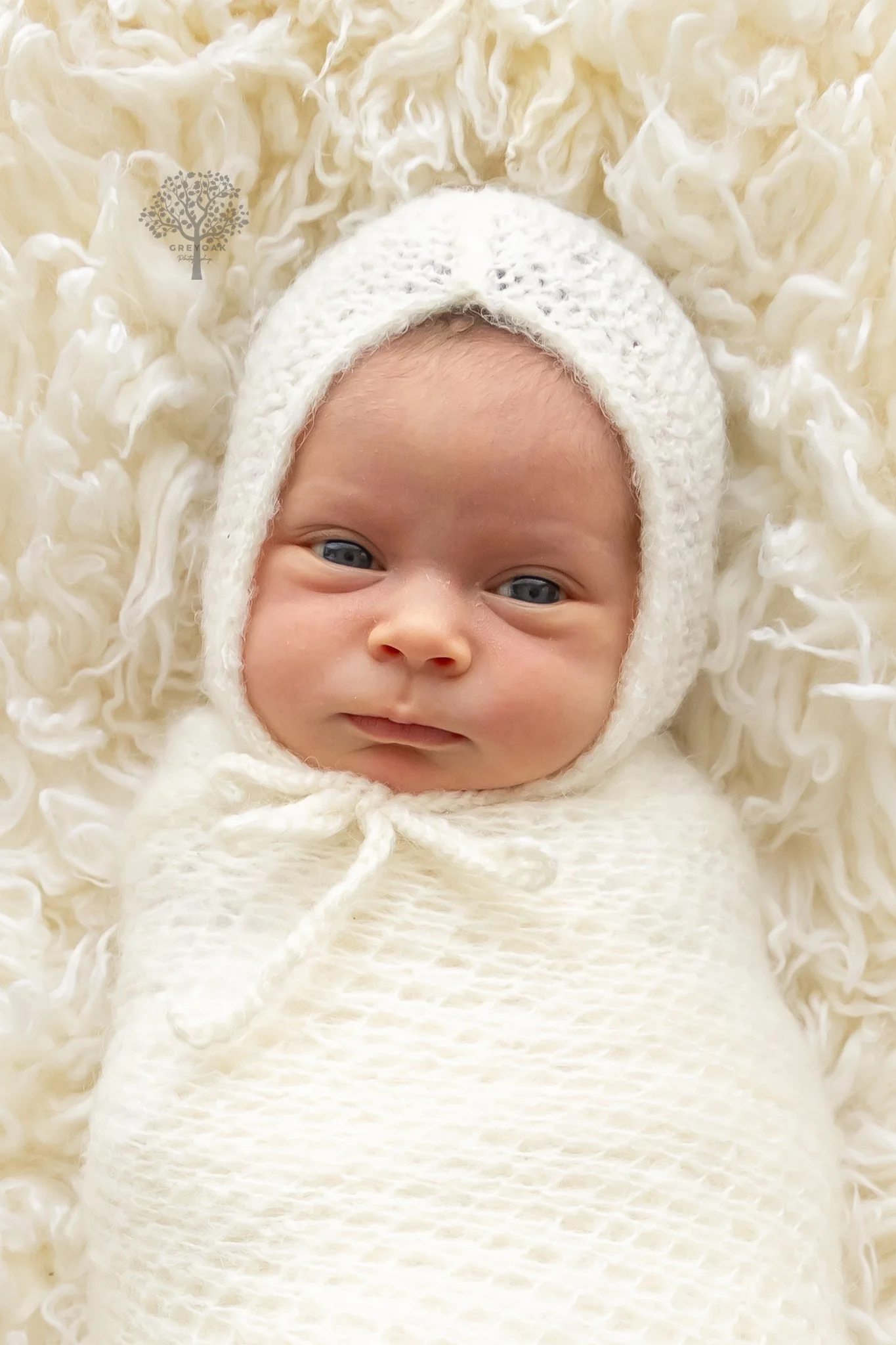 Melbourne newborn session Photographer Photography Montmorency