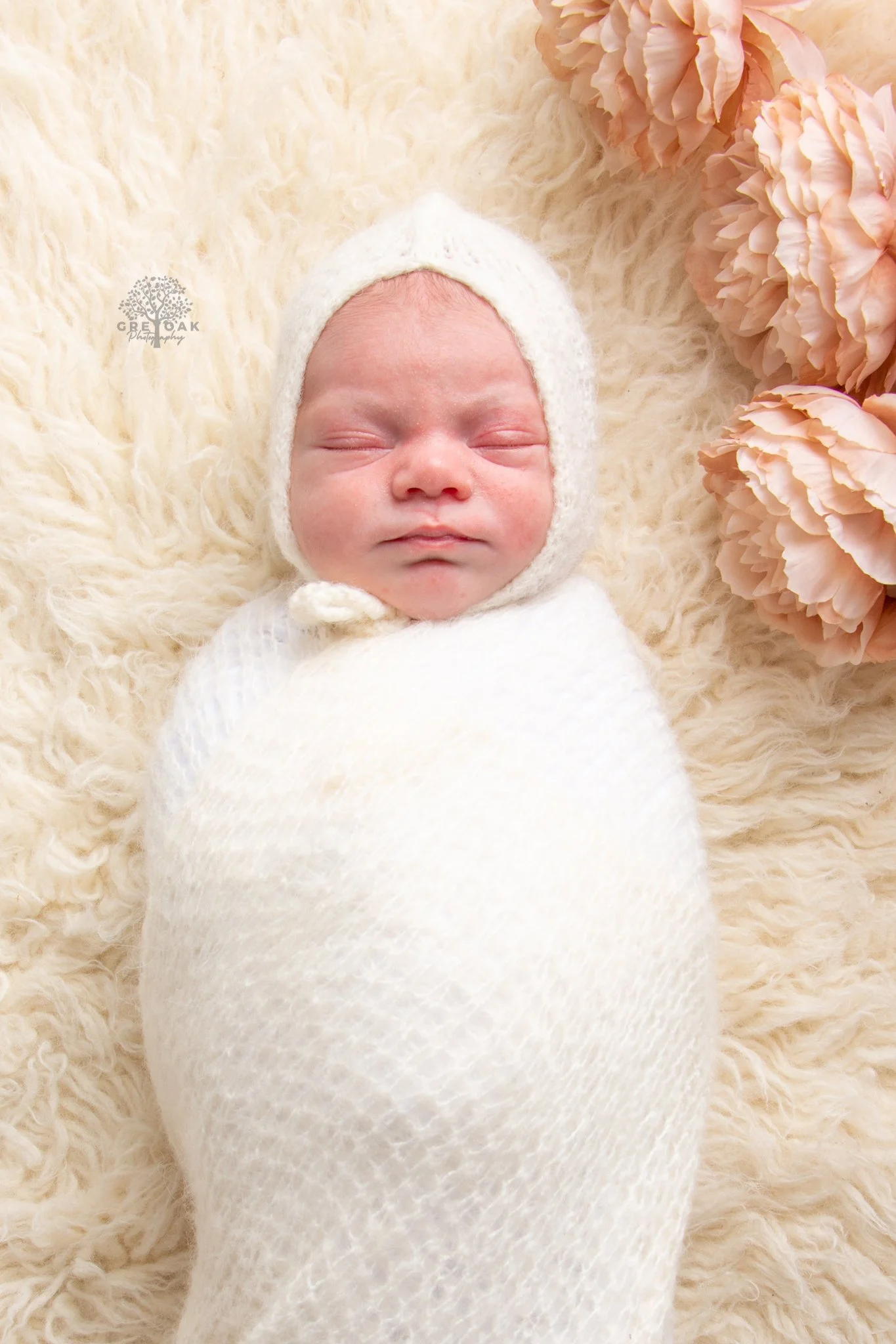 Newborn session newborn photography melbourne montmorency 