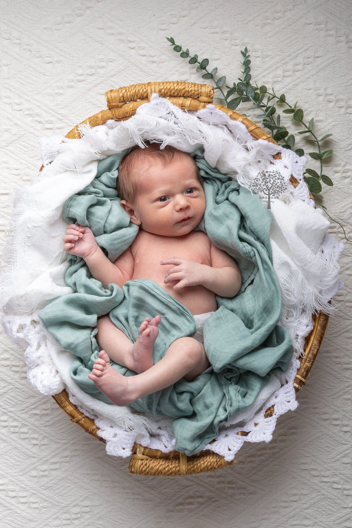 Newborn session Melbourne Photographer Montmorency